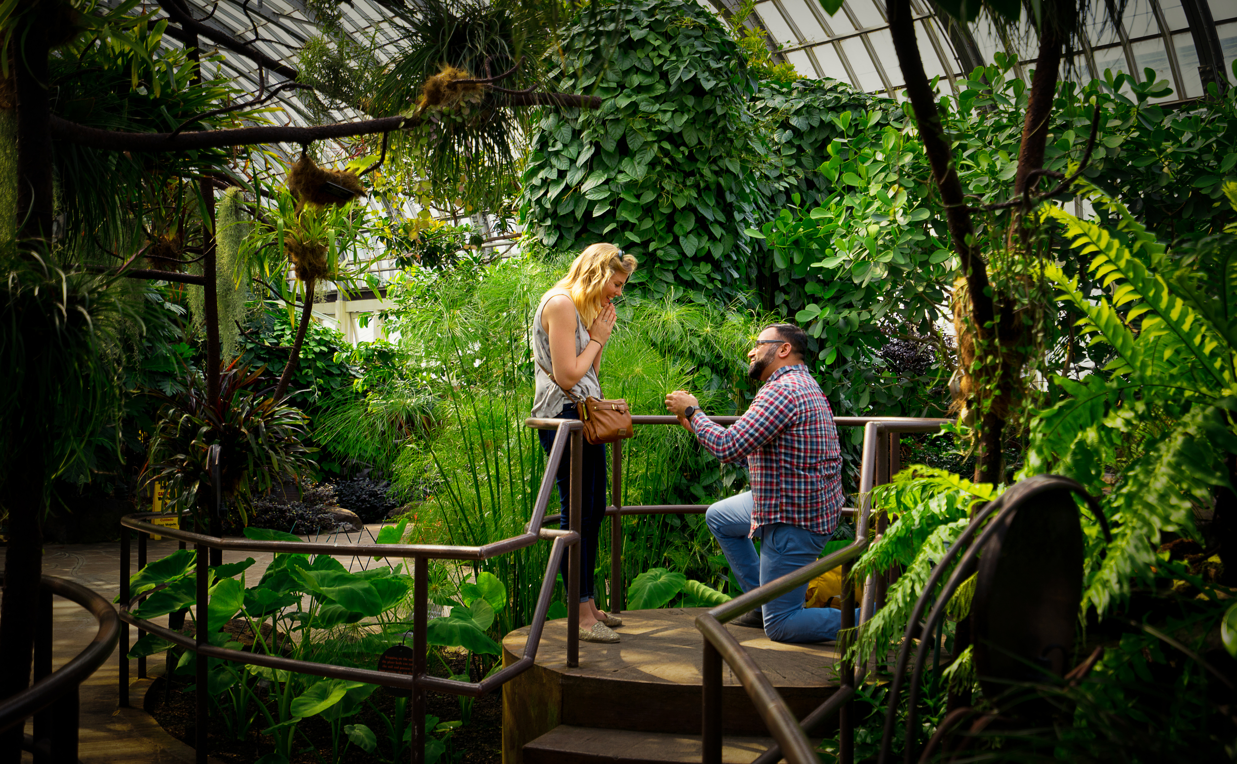 Surprise Proposal at Garfield Park Conservatory