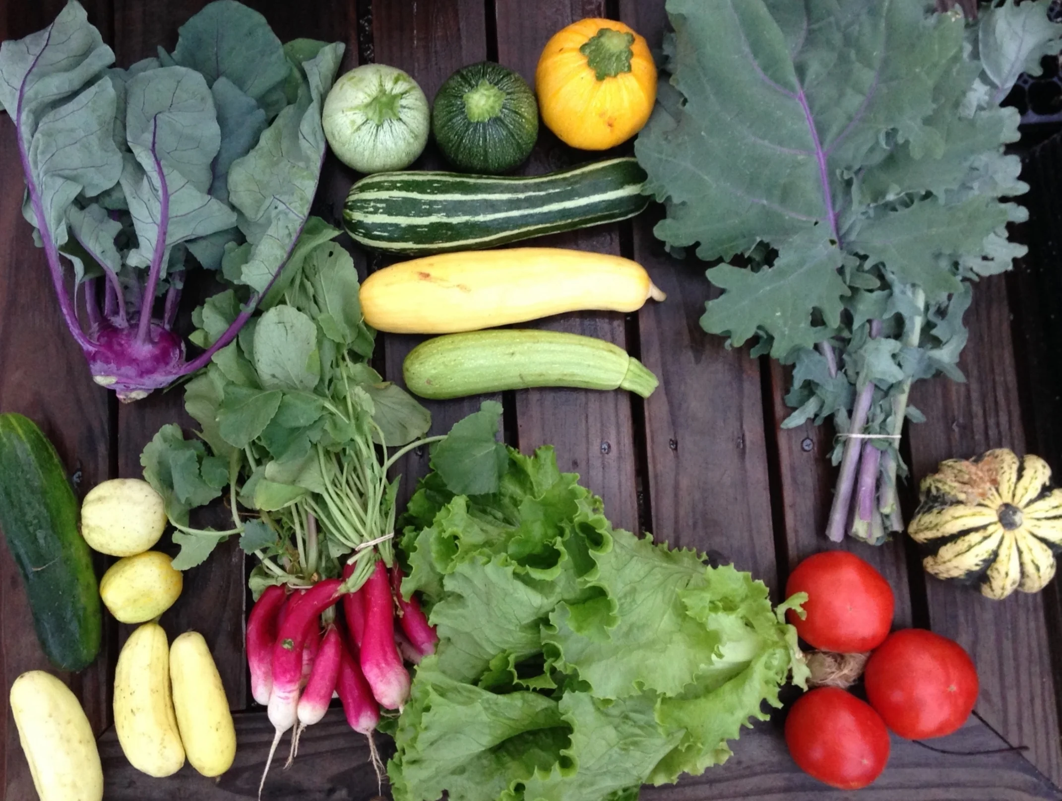 Two Dog Farms Harvest Week 1