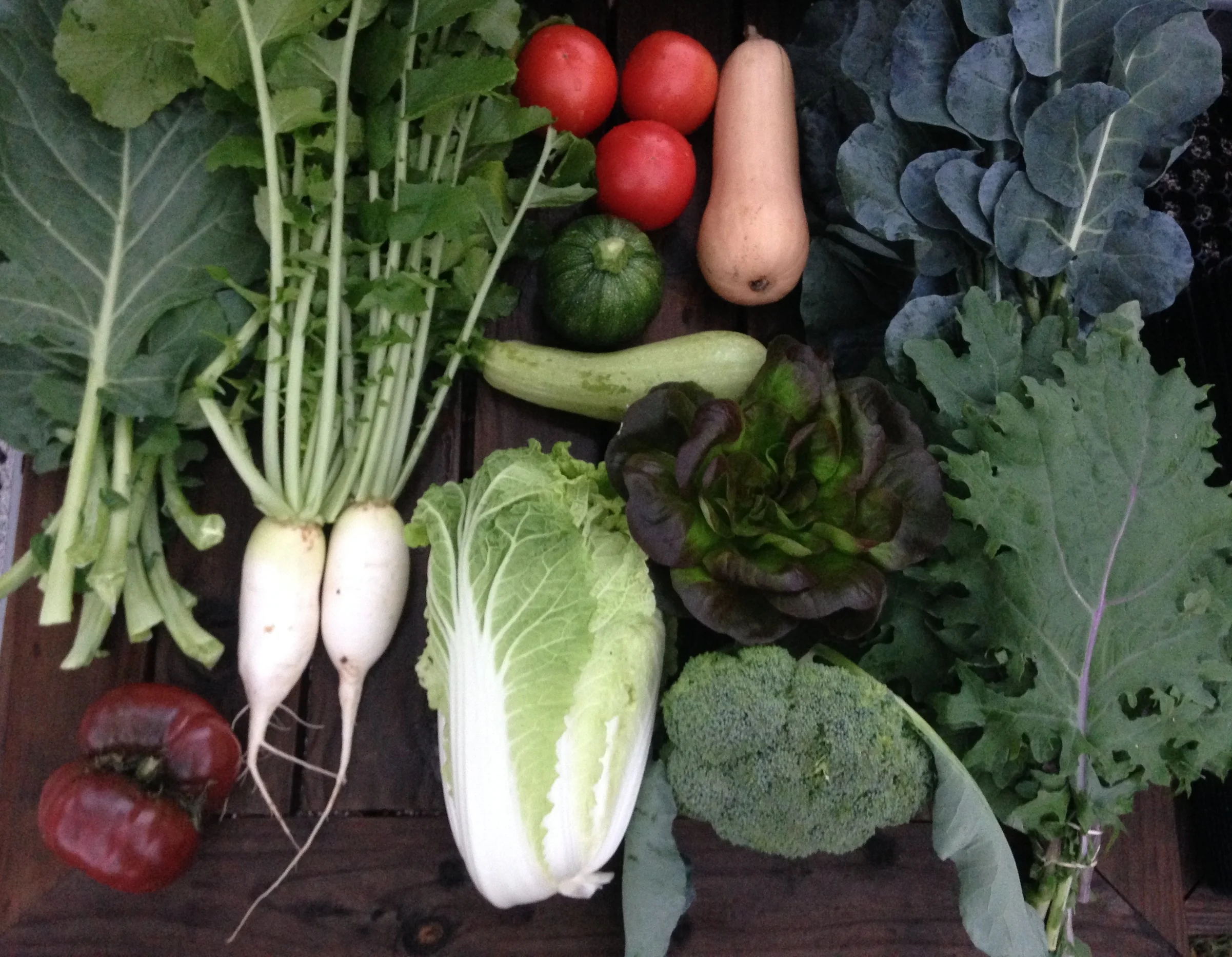 Two Dog Farms Harvest Week 2