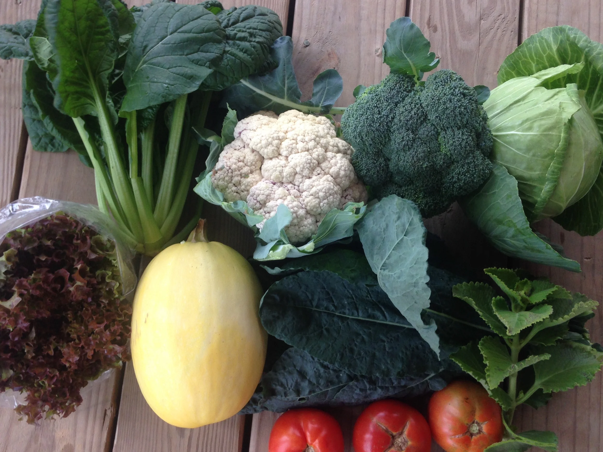 Two Dog Farms Harvest Week 4