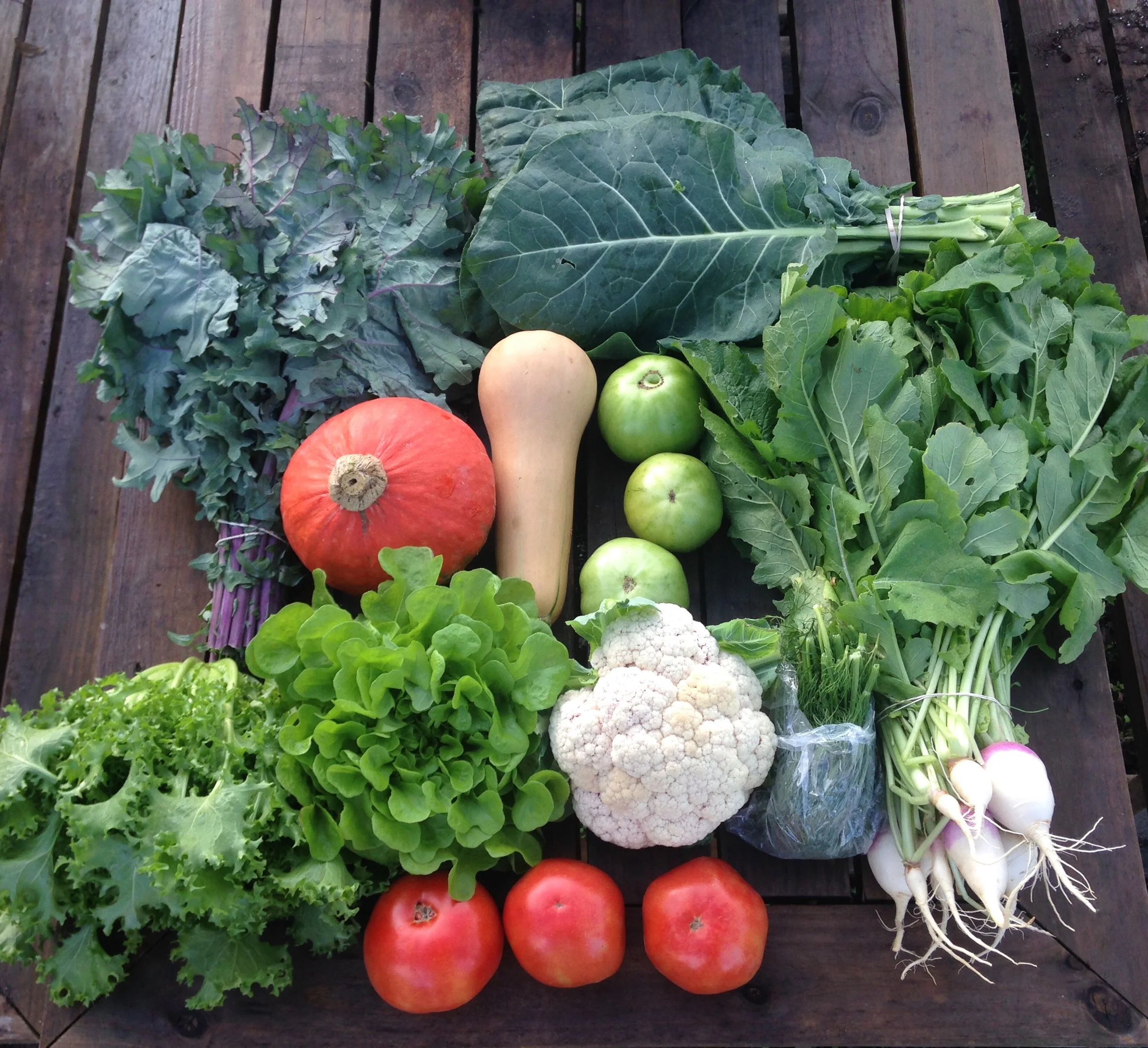 Two Dog Farms Harvest Week 5