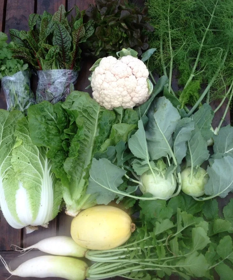 Two Dog Farms Harvest Week 6