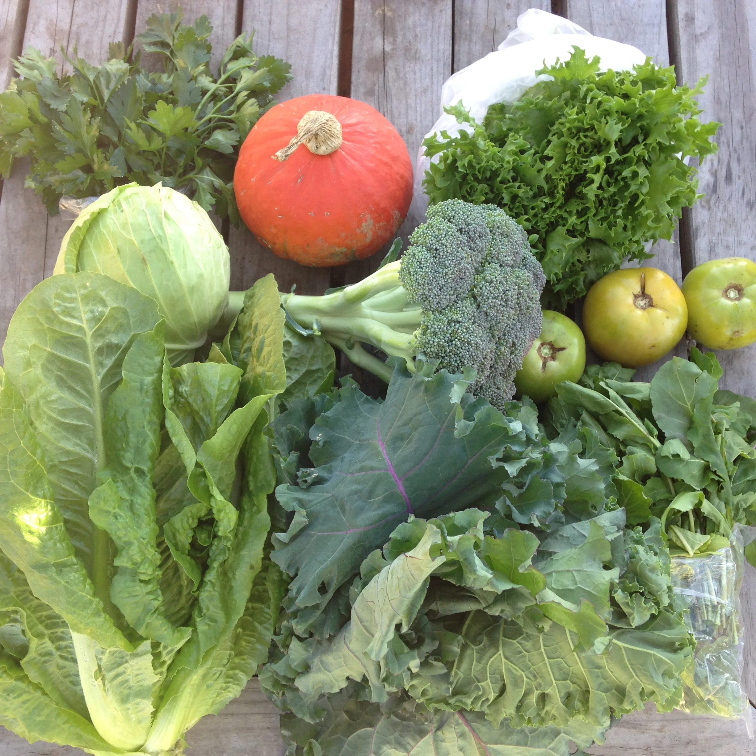 Two Dog Farms Harvest Week 7