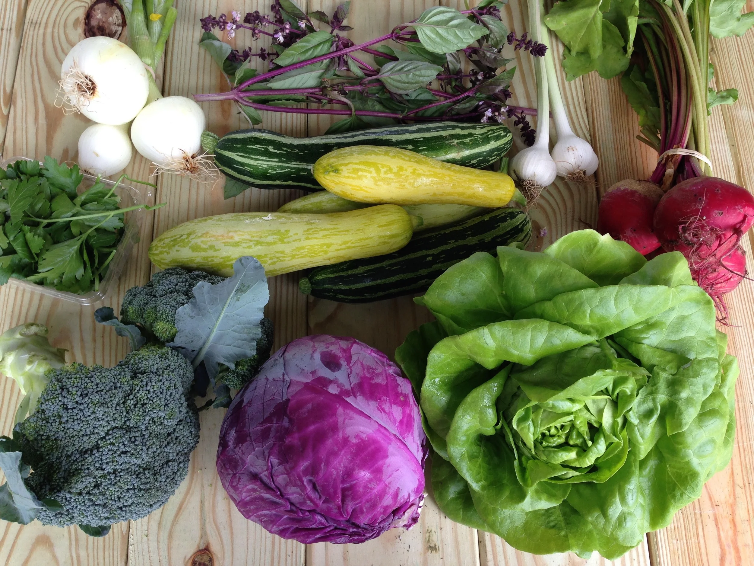 top left to right: onion, Thai basil, and garlic middle left to right: parsley, squash and zucchini, and beets bottom left to right: broccoli, purple cabbage, and bibb lettuce