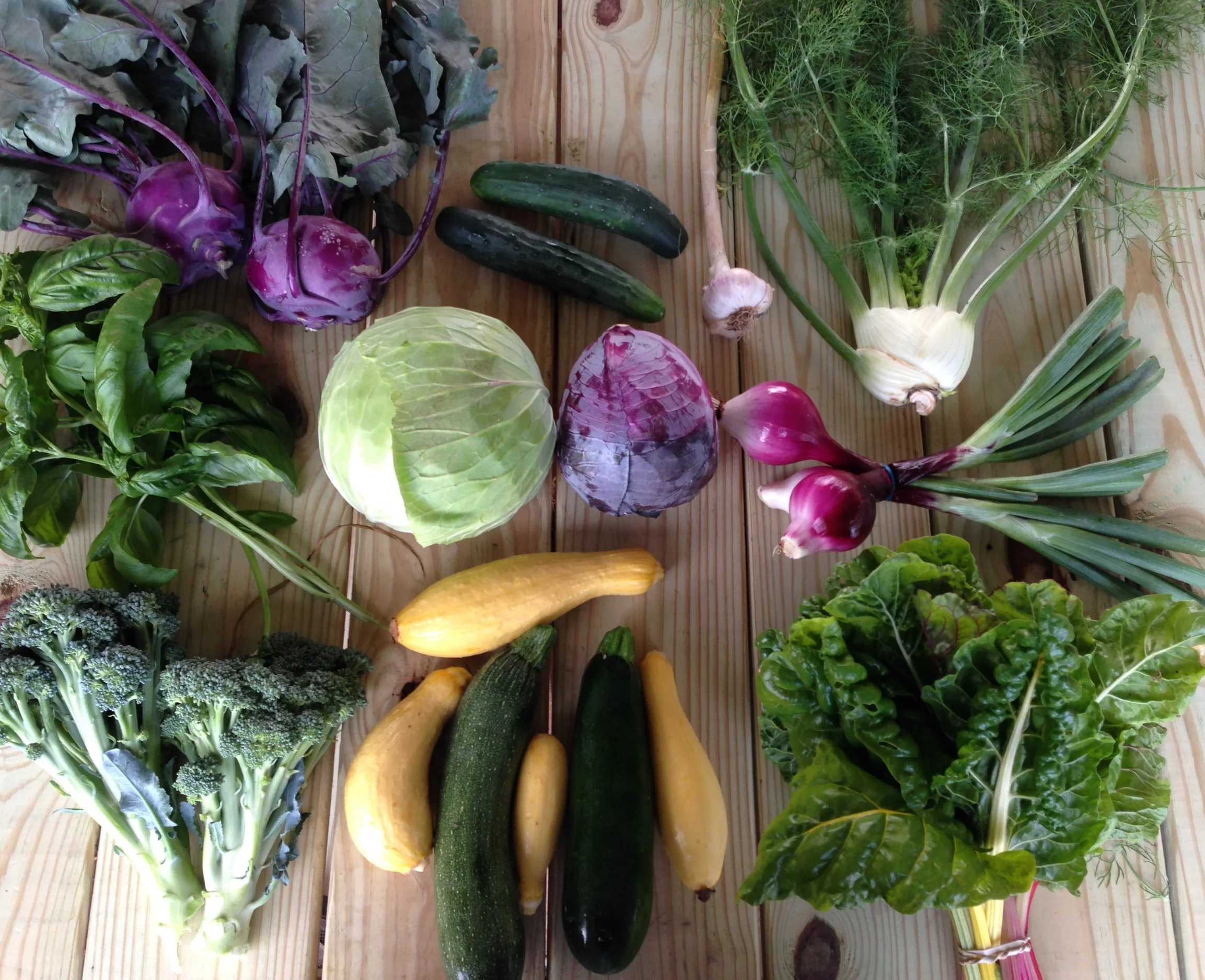 Two Dog Farms 2016 Spring/Summer Harvest Week 6