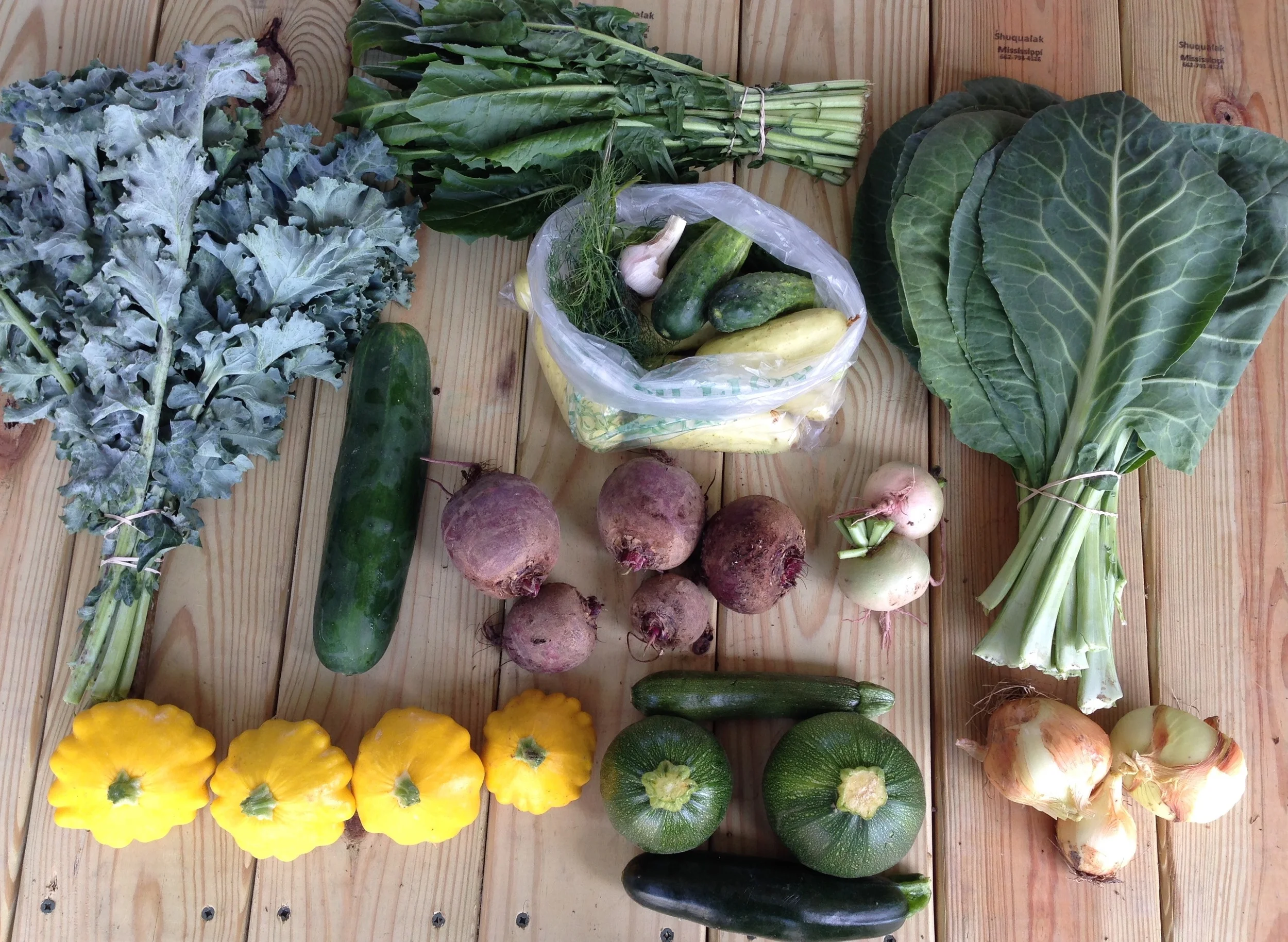 top left to right: kale, dandelion greens, and collards middle left to right: slicing cucumber, bag of pickling cucumber with dill and garlic, beets, and radish bottom left to right: yellow patty pan squash, round and straight zucchini, and dried onions