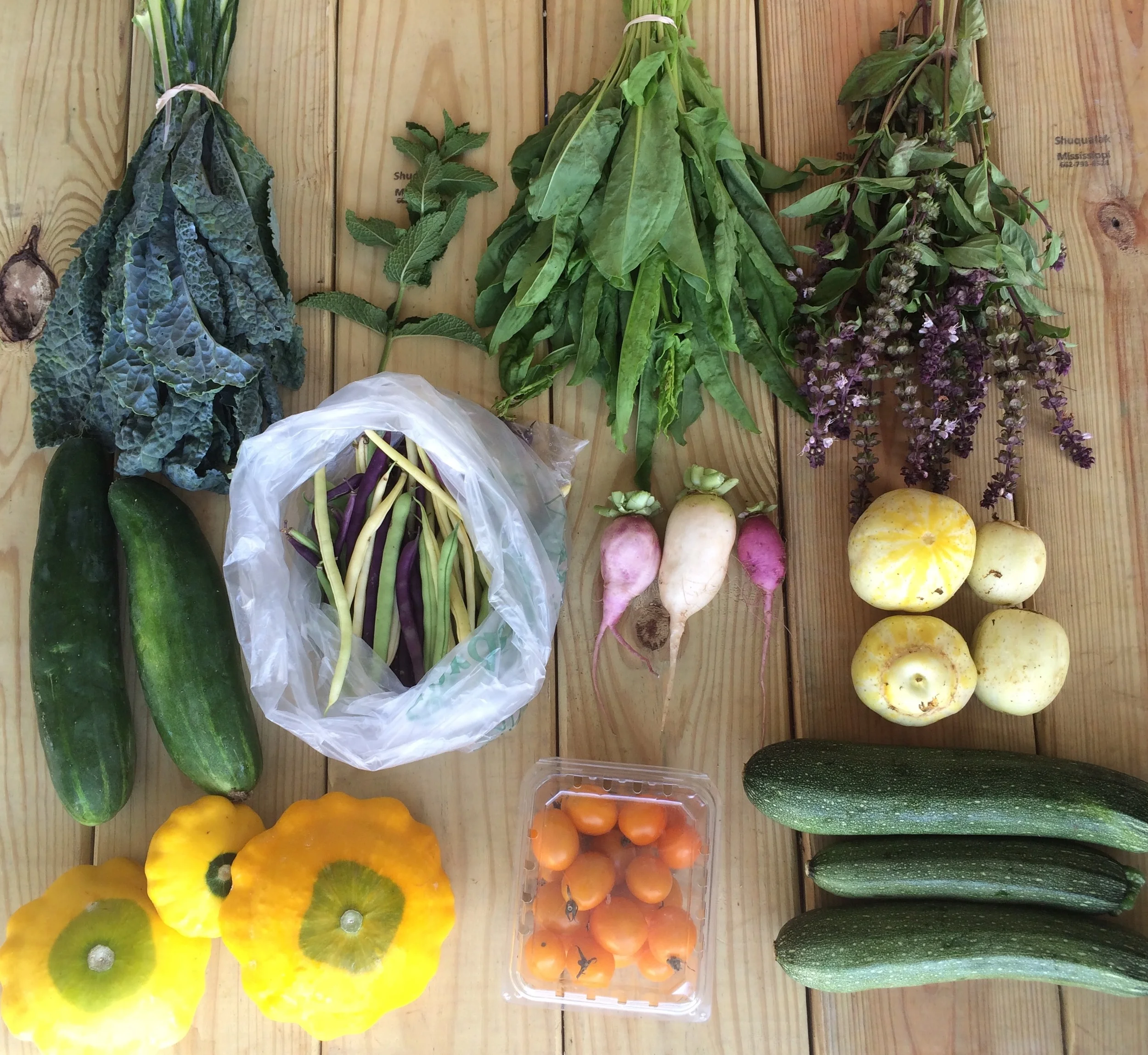 top left to right: Toscana Kale, mint, green sorrel, thai basil middle left to right: slicing cucumbers, green beans, daikon radish, lemon cucumber bottom left to right: Patty Pan squash, cherry tomatoes, zucchini