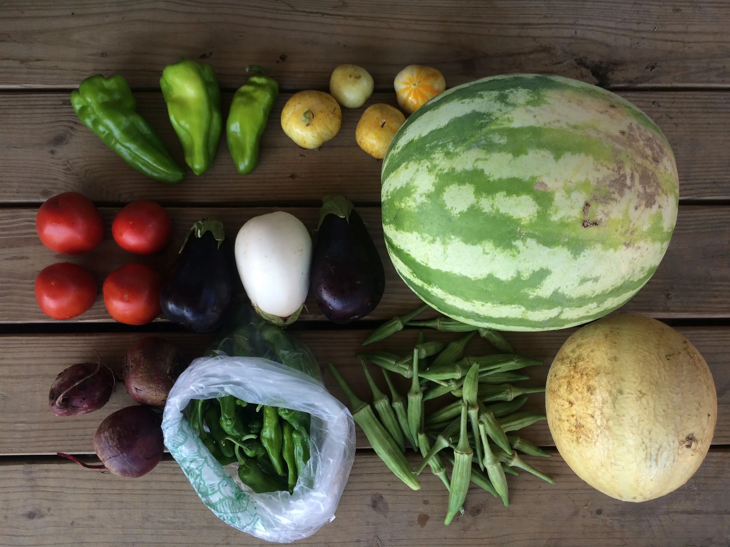 Two Dog Farms 2016 Spring/Summer Harvest Week 14