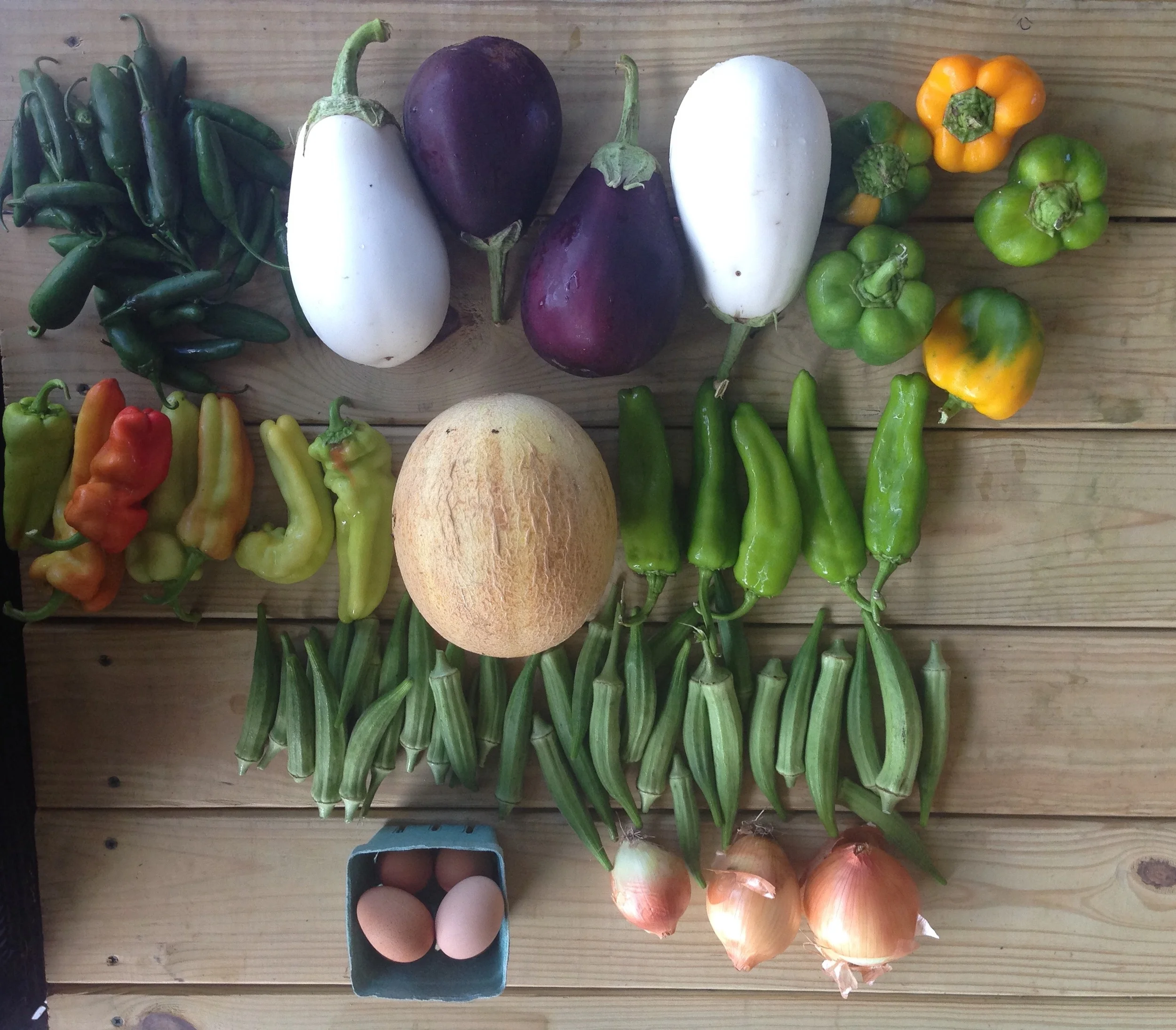 Two Dog Farms 2016 Spring/Summer Harvest Week 15