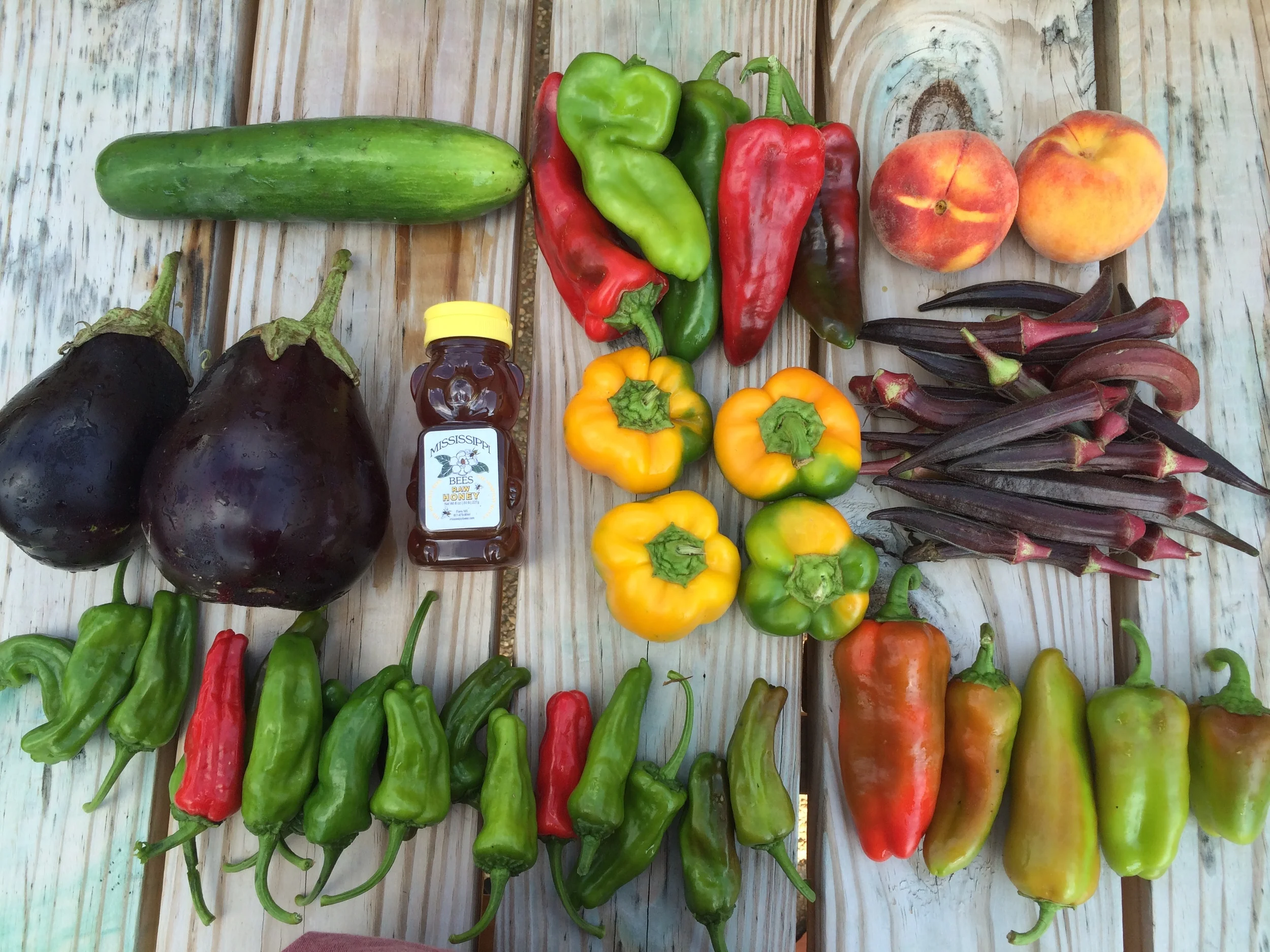 Two Dog Farms 2016 Spring/Summer Harvest Week 16