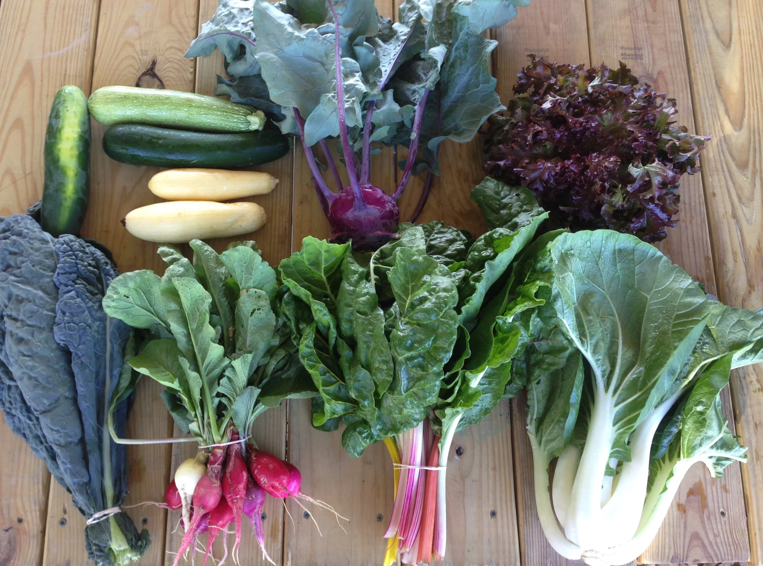 Two Dog Farms 2016 Fall Harvest Week 1