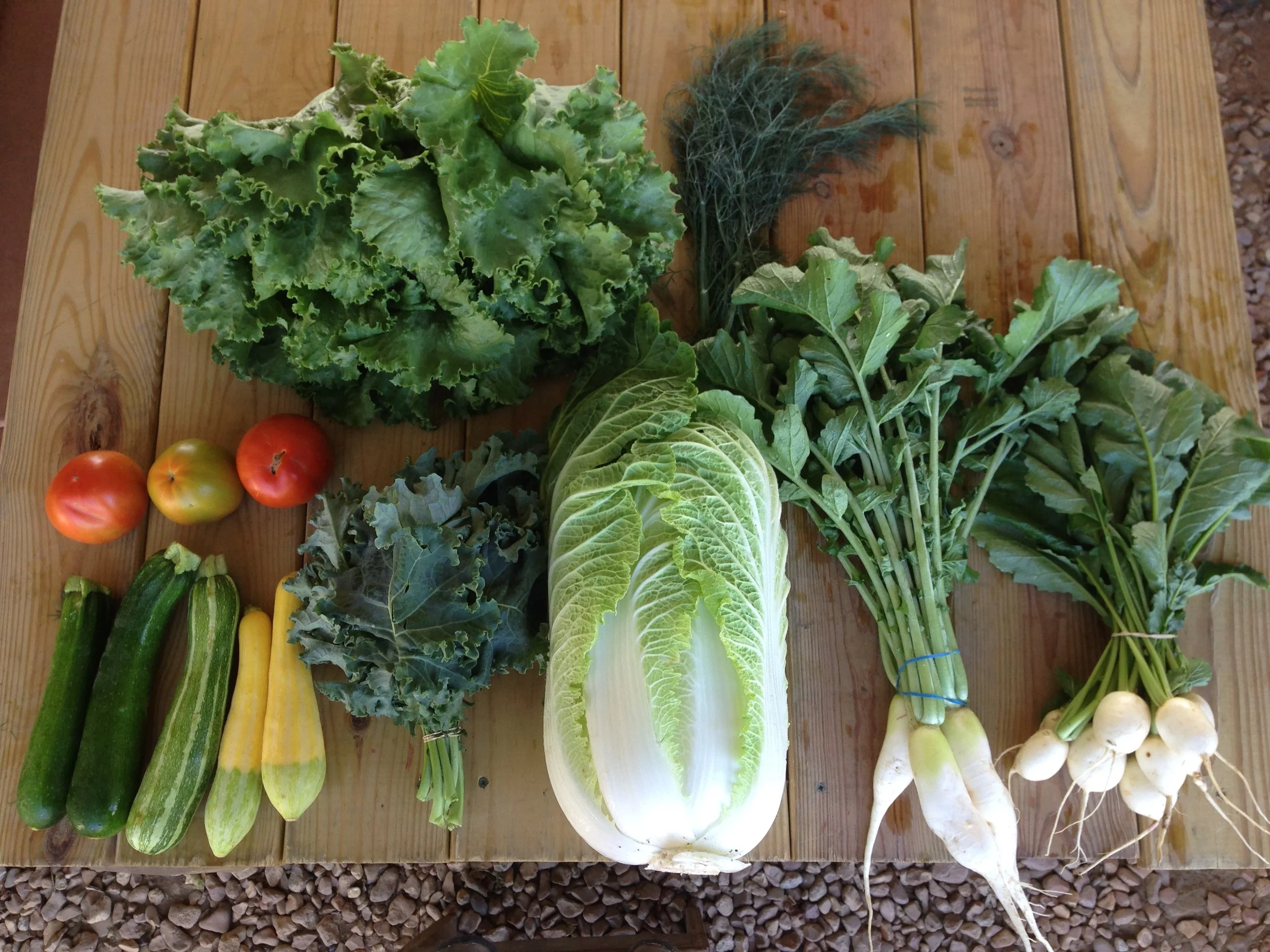 Two Dog Farms 2016 Fall Harvest Week 2