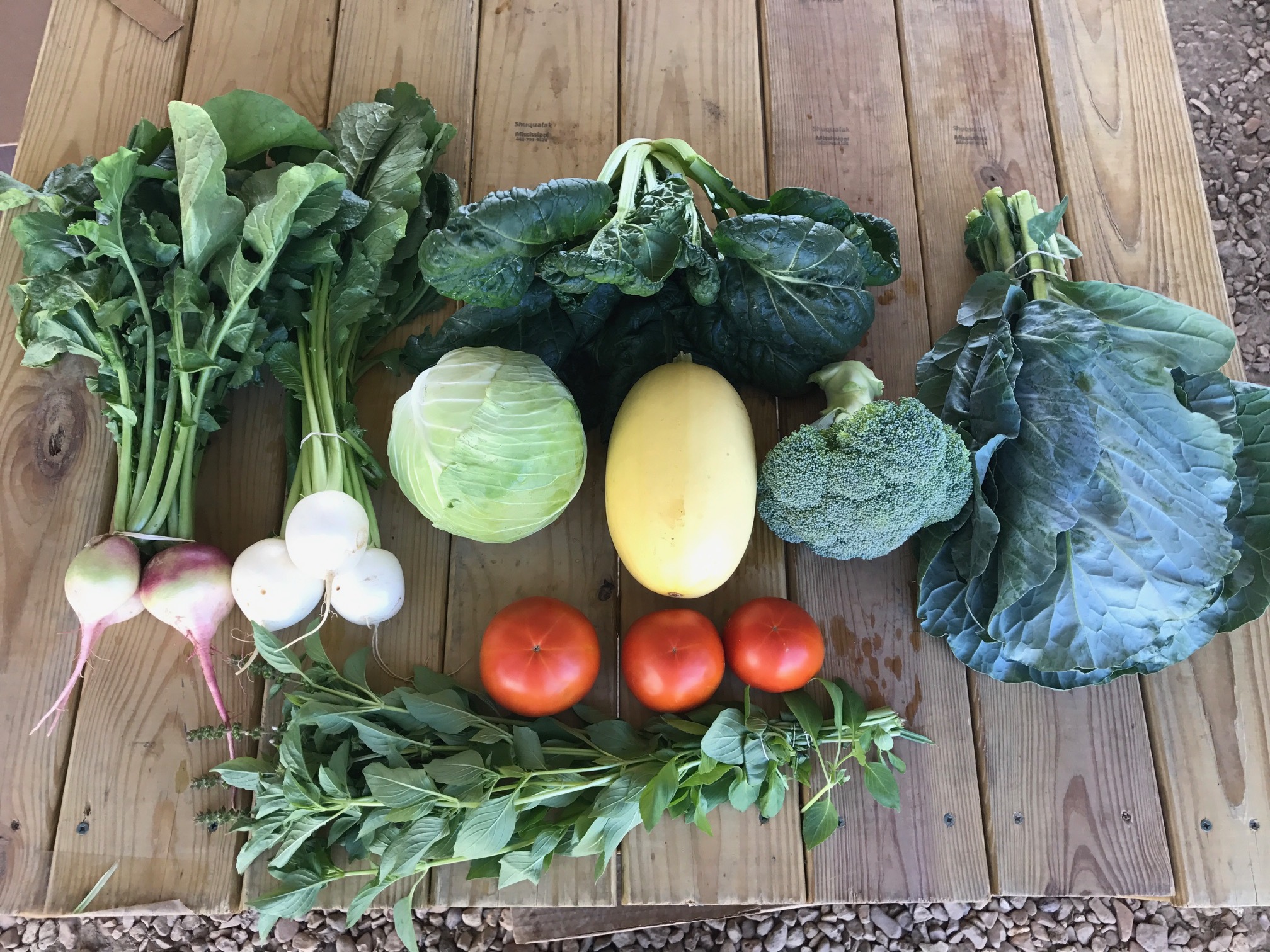 Two Dog Farms 2016 Fall Harvest Week 4