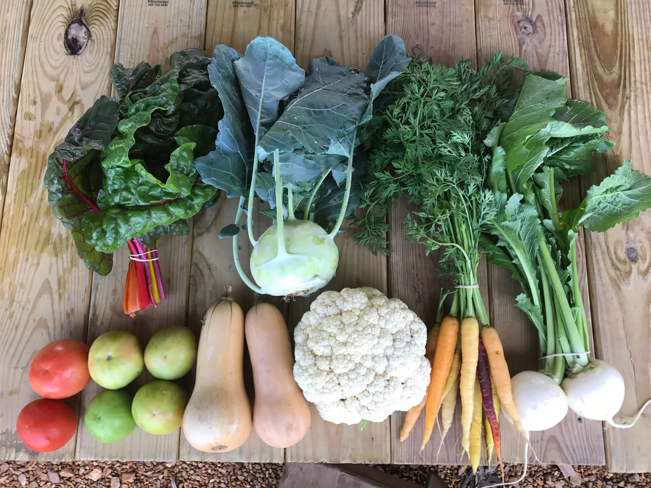 Two Dog Farms 2016 Fall Harvest Week 8