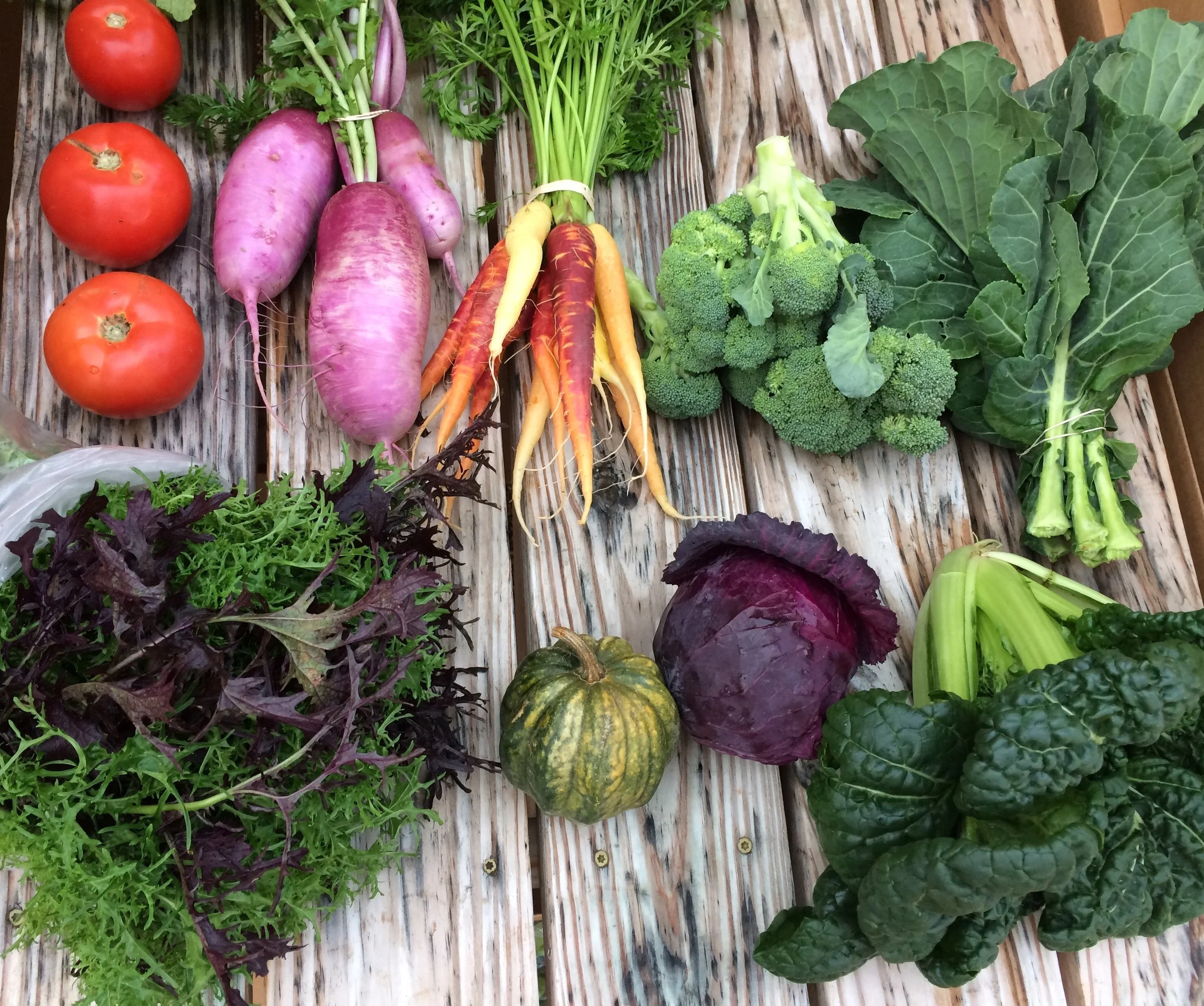 Two Dog Farms 2016 Fall Harvest Week 9