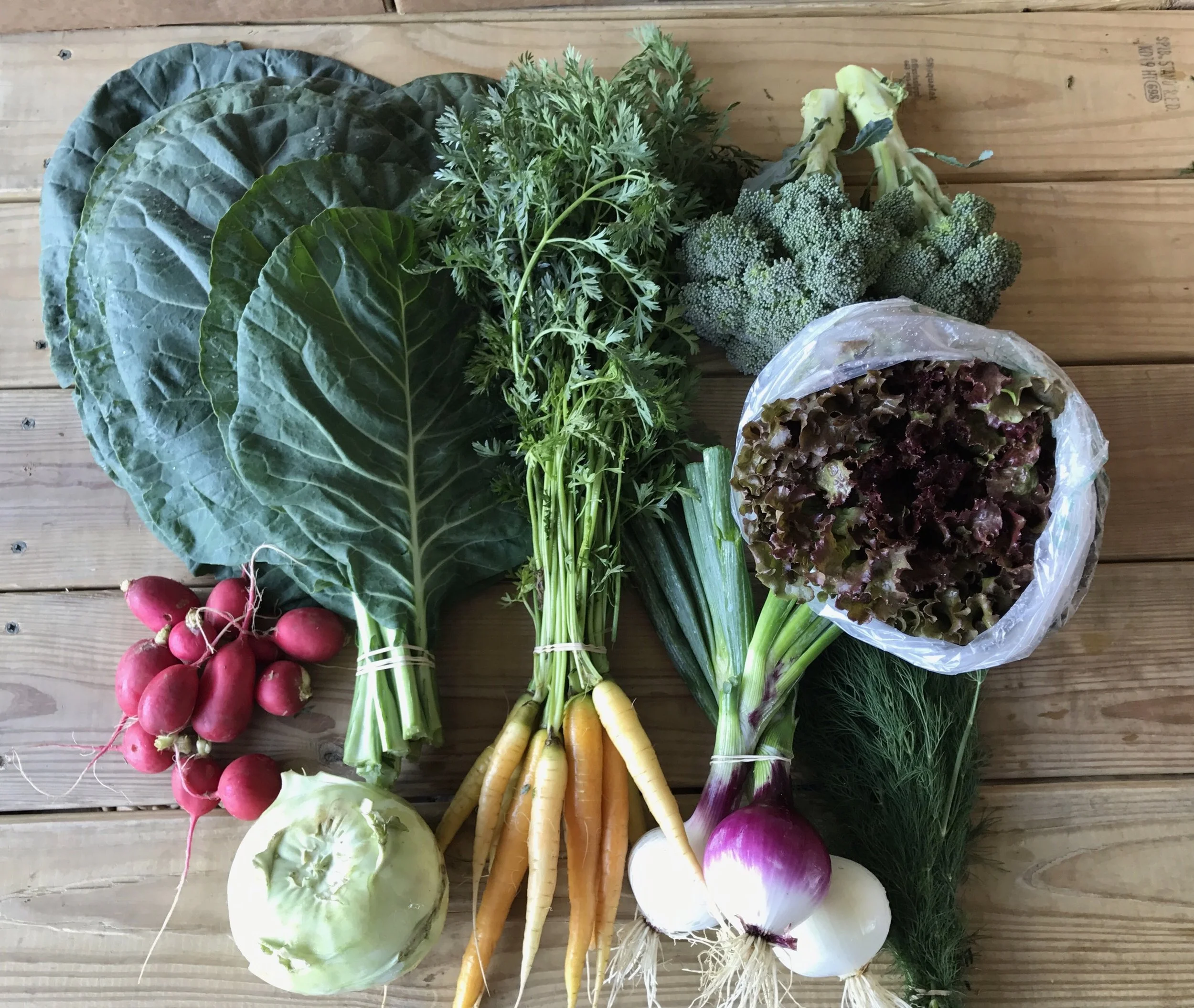 Two Dog Farms 2017 Spring/Summer Harvest Week 4