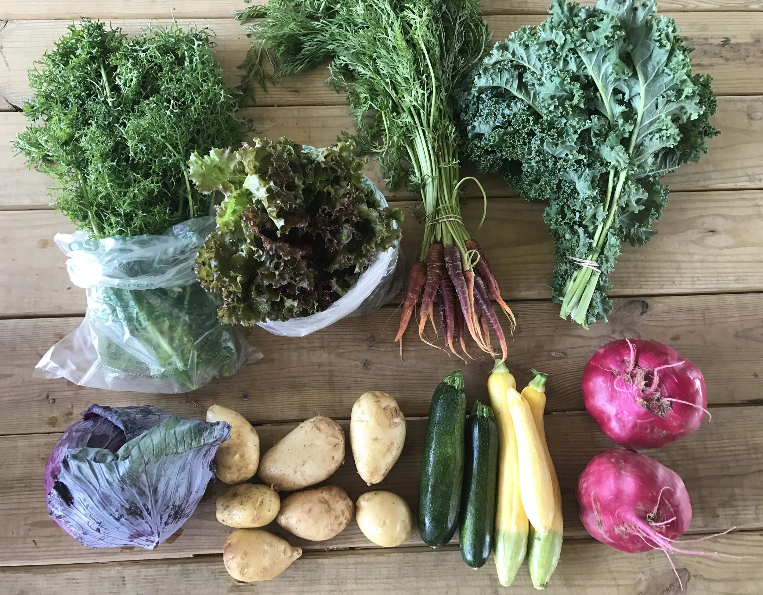 Top Row: Mustard Frills, Red Leaf Lettuce, Heirloom Carrots, and Curly Kale Bottom Row: Cabbage, Potatoes, Zucchini, Summer Squash, Scarlet Turnips