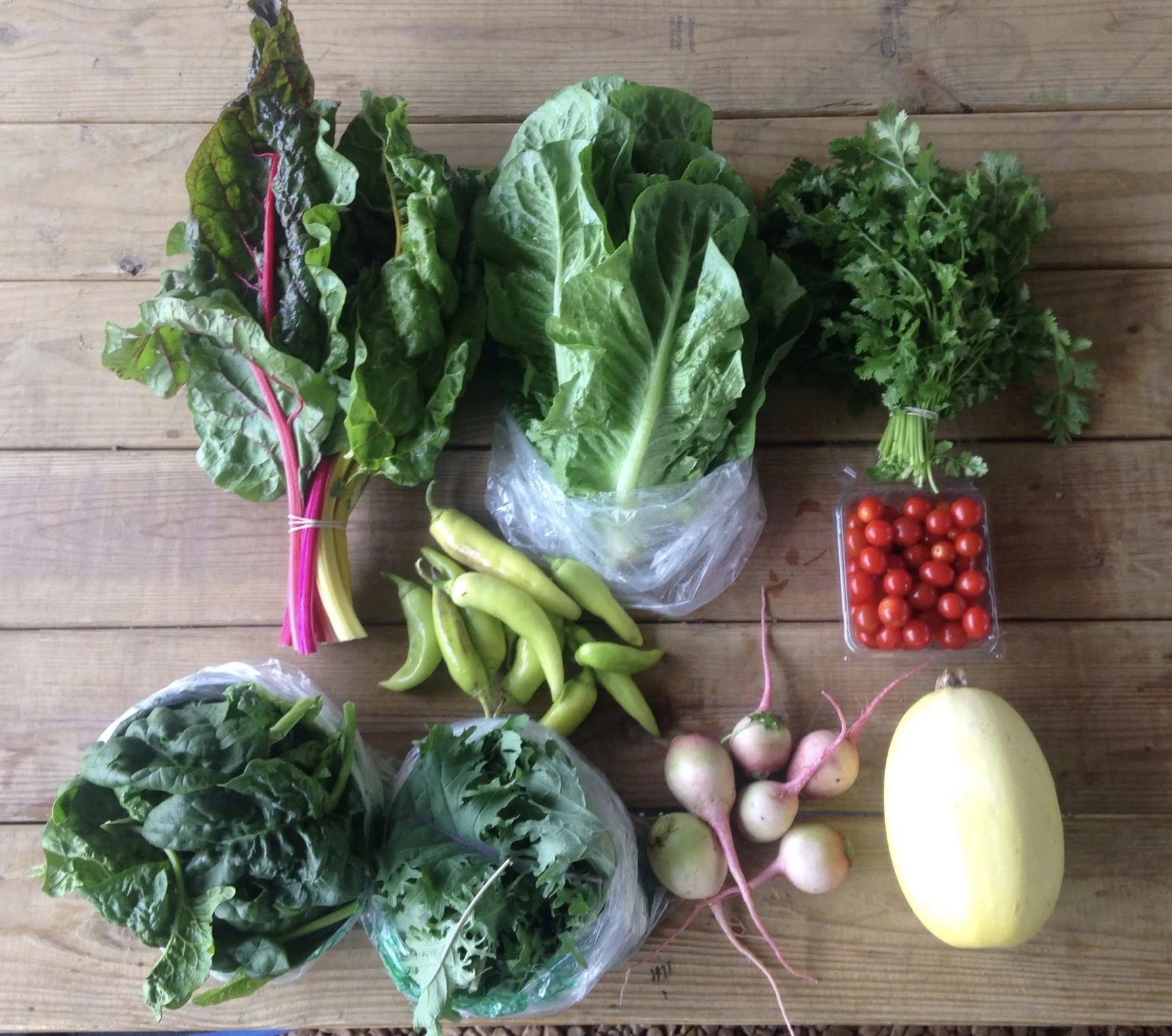 Two Dog Farm 2017 Fall CSA Week 5