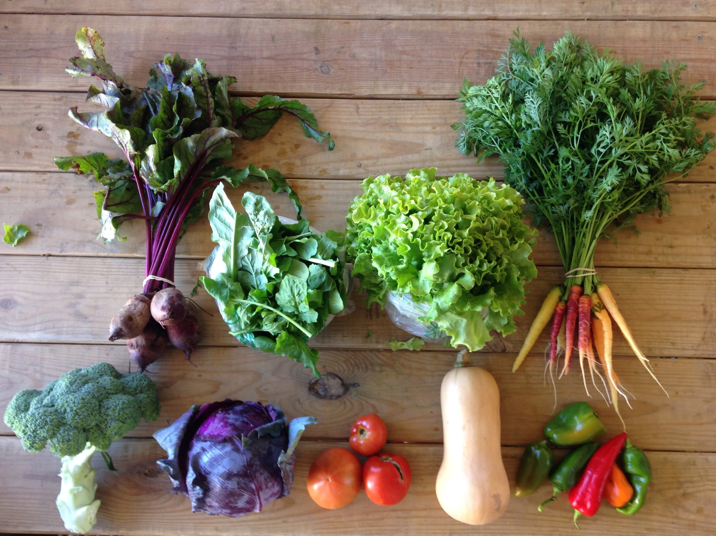 Two Dog Farms 2017 Fall CSA Week 6