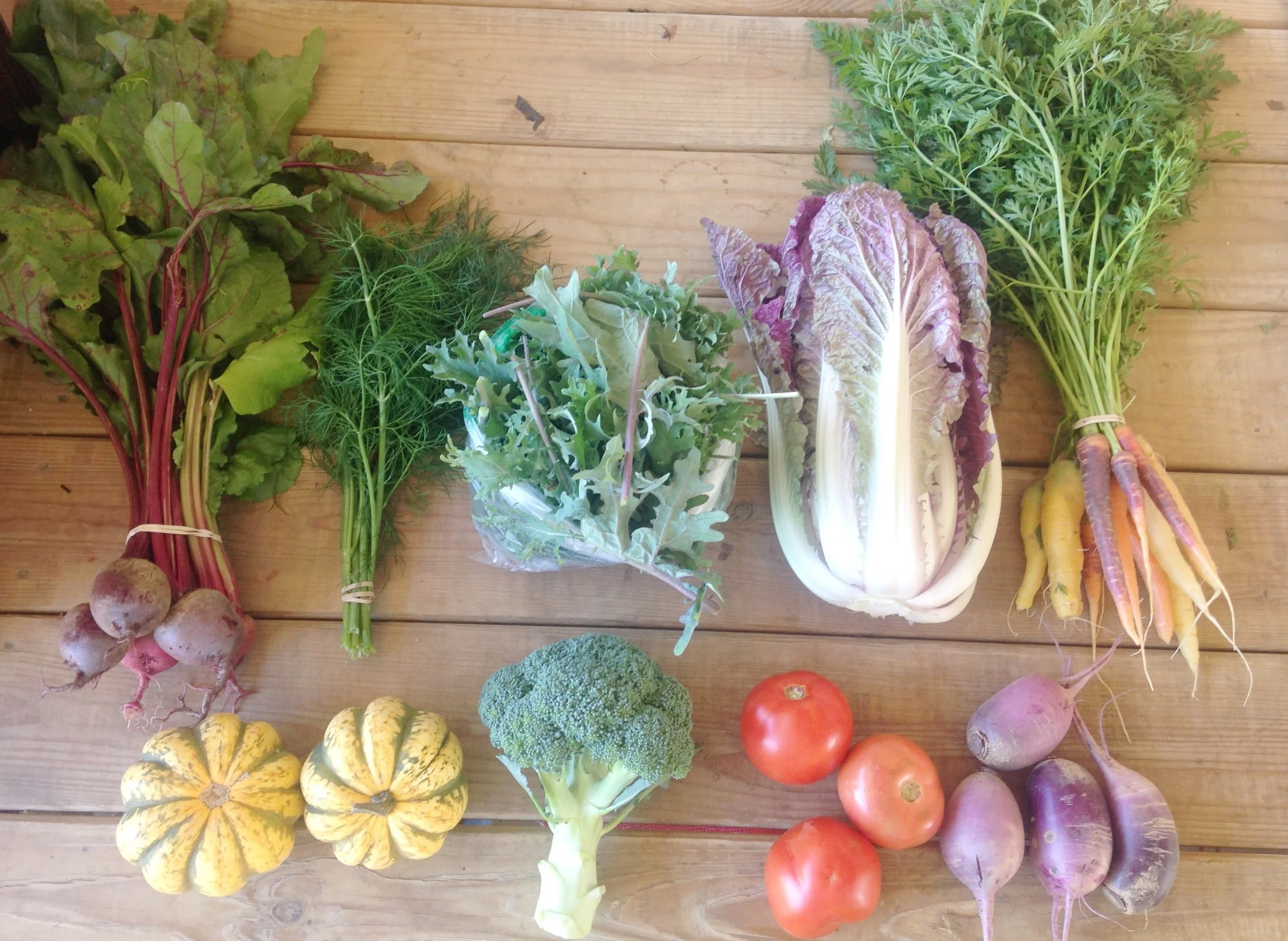 Two Dog Farms 2017 Fall CSA Week 8