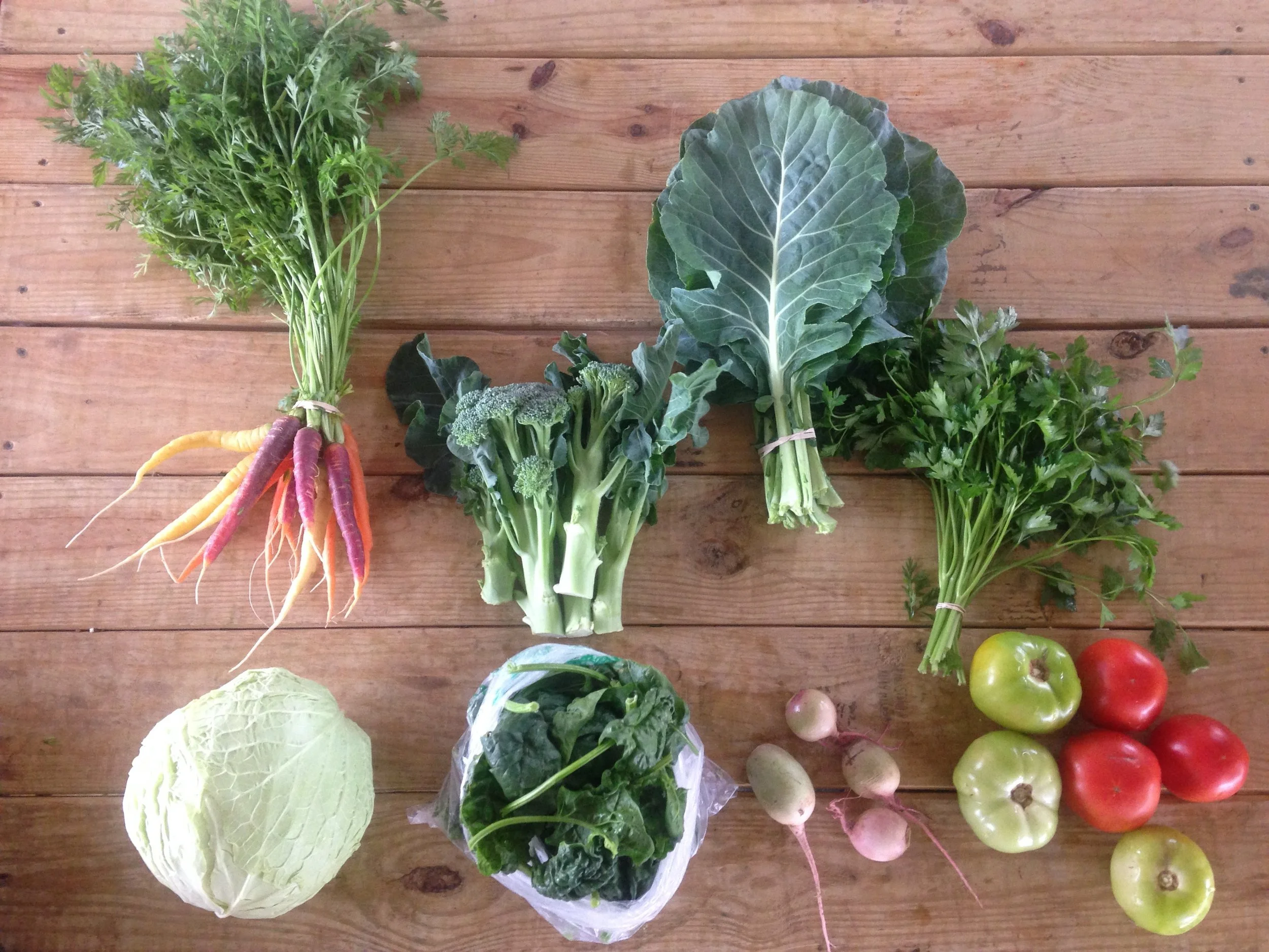 Two Dog Farms 2017 Fall CSA Week 9