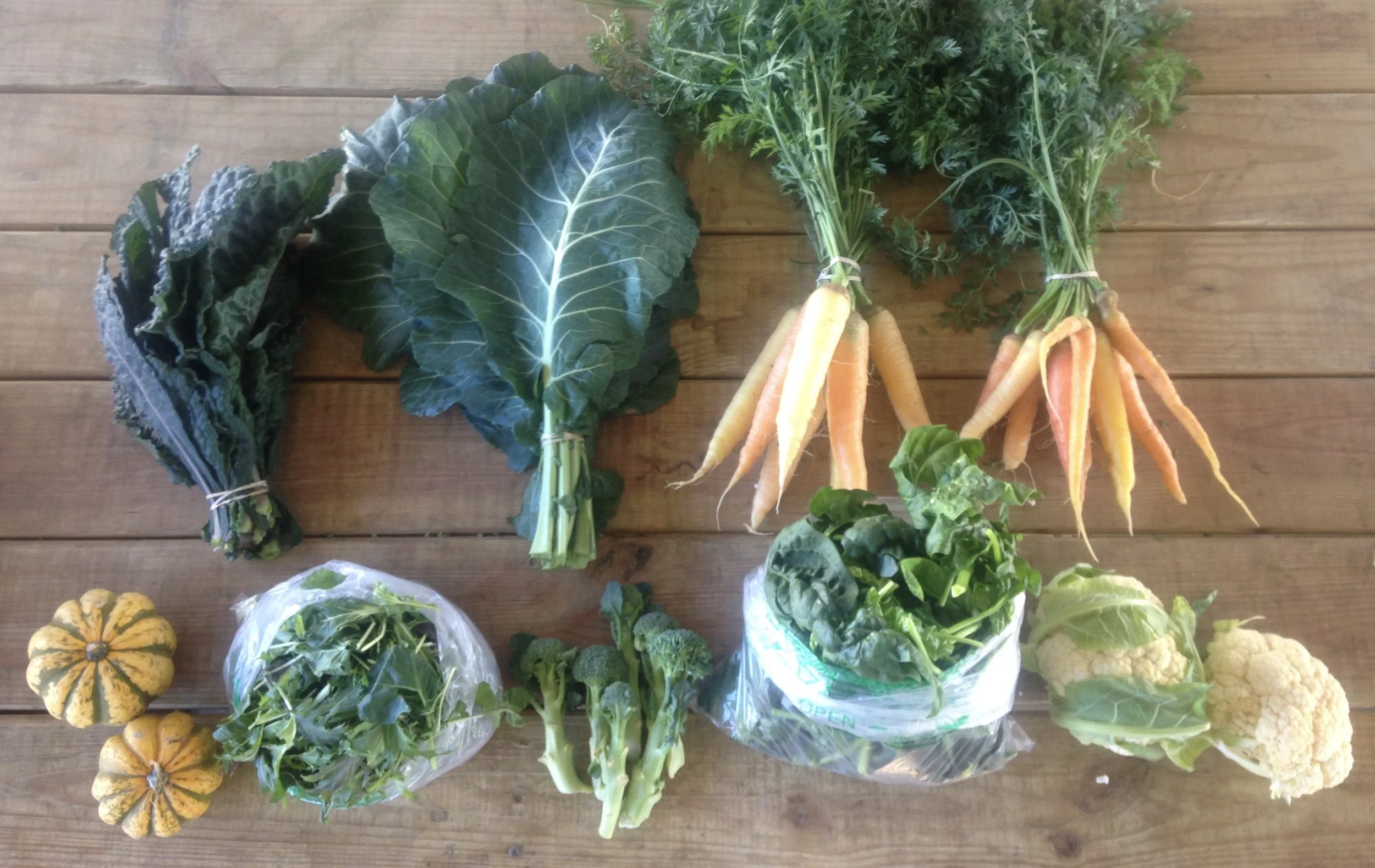 Two Dog Farms 2017 Fall CSA Week 10