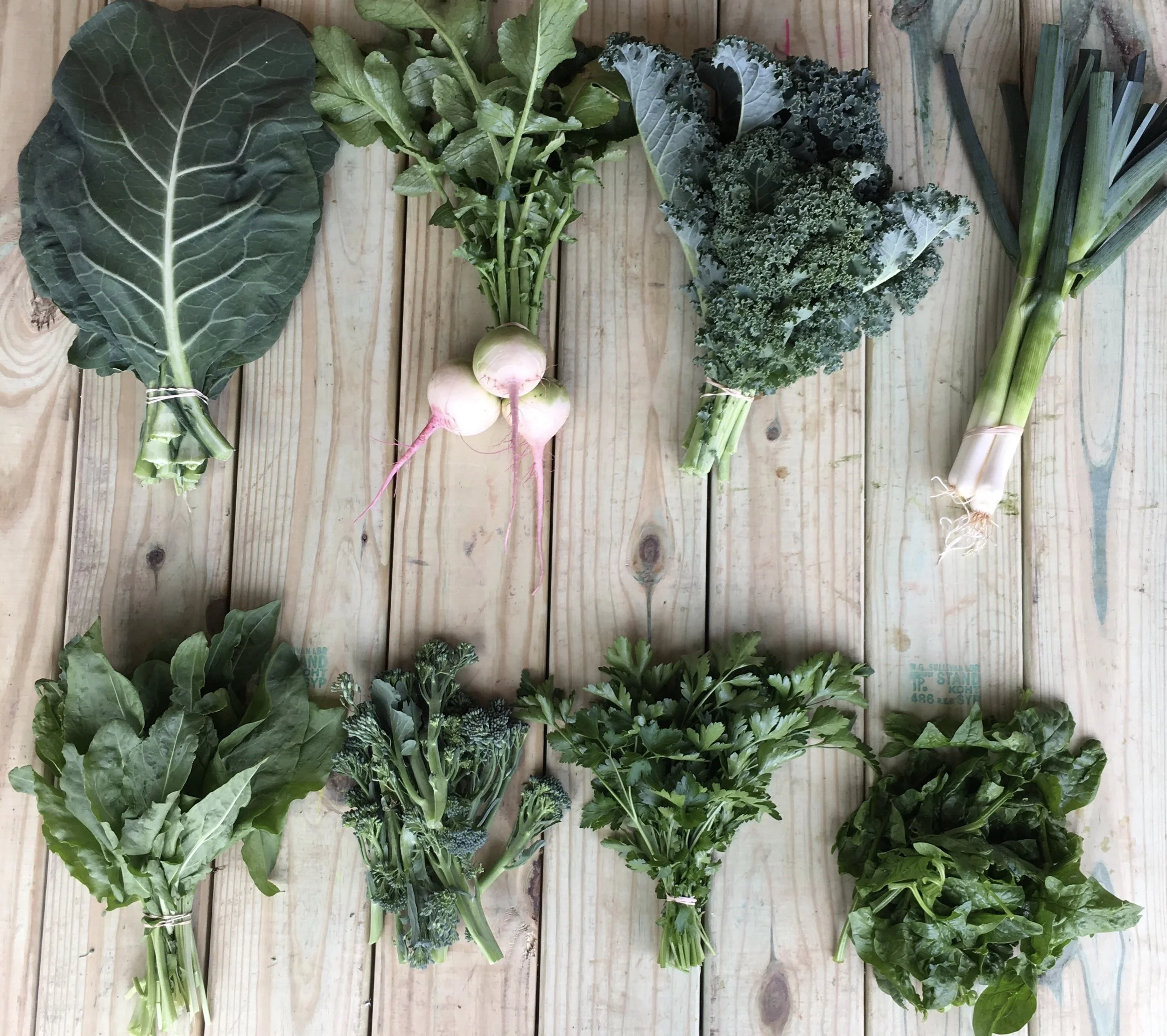 Top row left to right: Collards, Watermelon Radishes, Curly Kale, and Leeks Bottom row left to right: Sorrel, Broccolini, Parsley, and Spinach