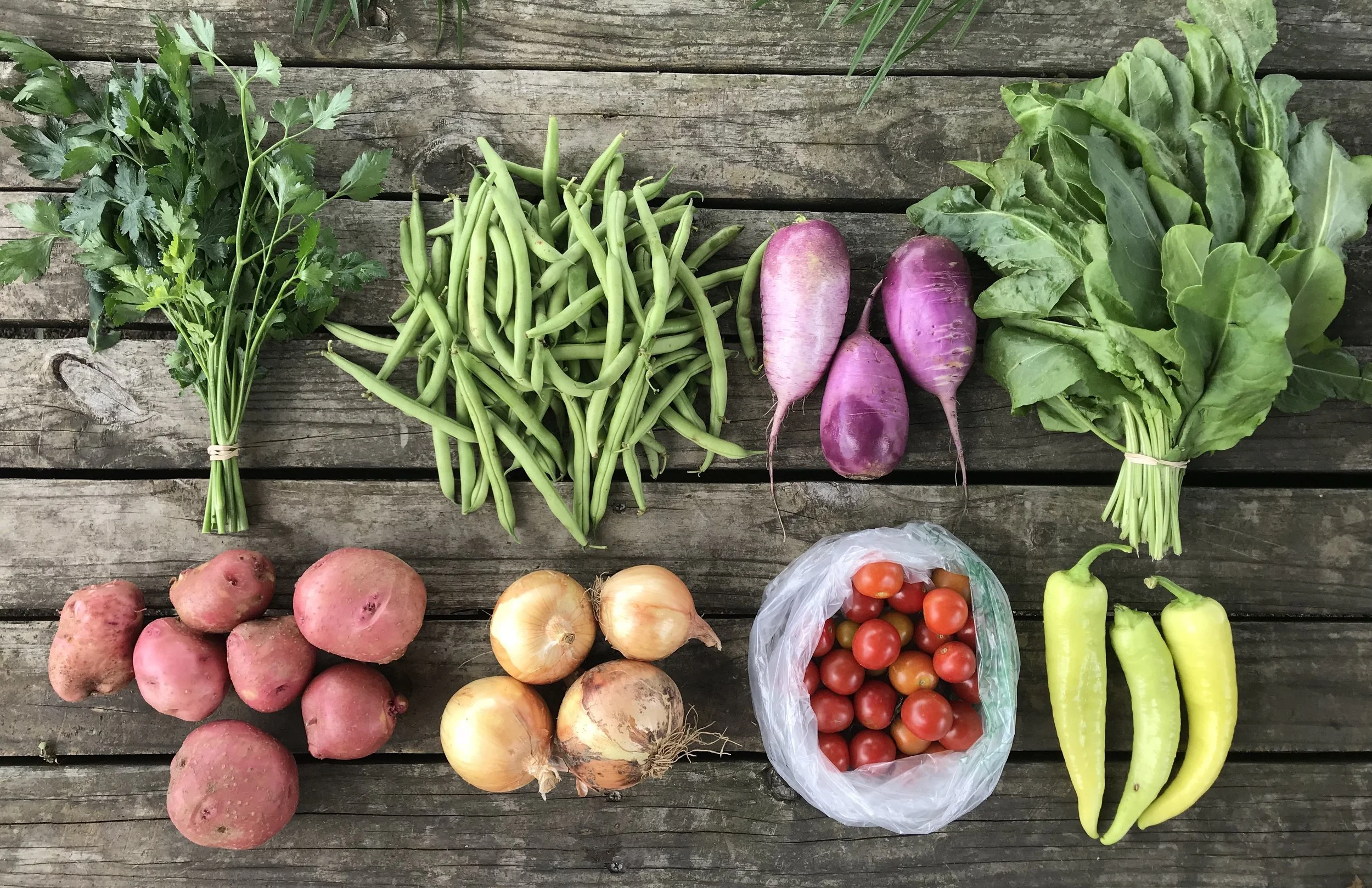 Two Dog Farms 2018 Spring/Summer CSA Week 8