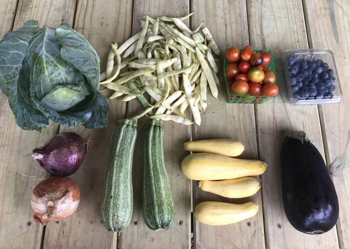 Top Row: Cabbage, Romano Beans, Cherry Tomatoes, and Blueberries Bottom Row: Onions, Zucchini, Squash, and Eggplant