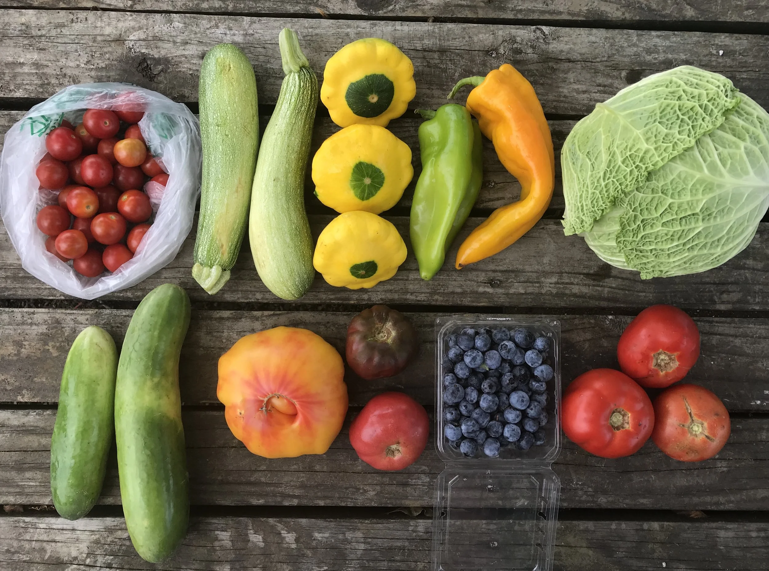 Two Dog Farms 2018 Spring/Summer CSA Week 11