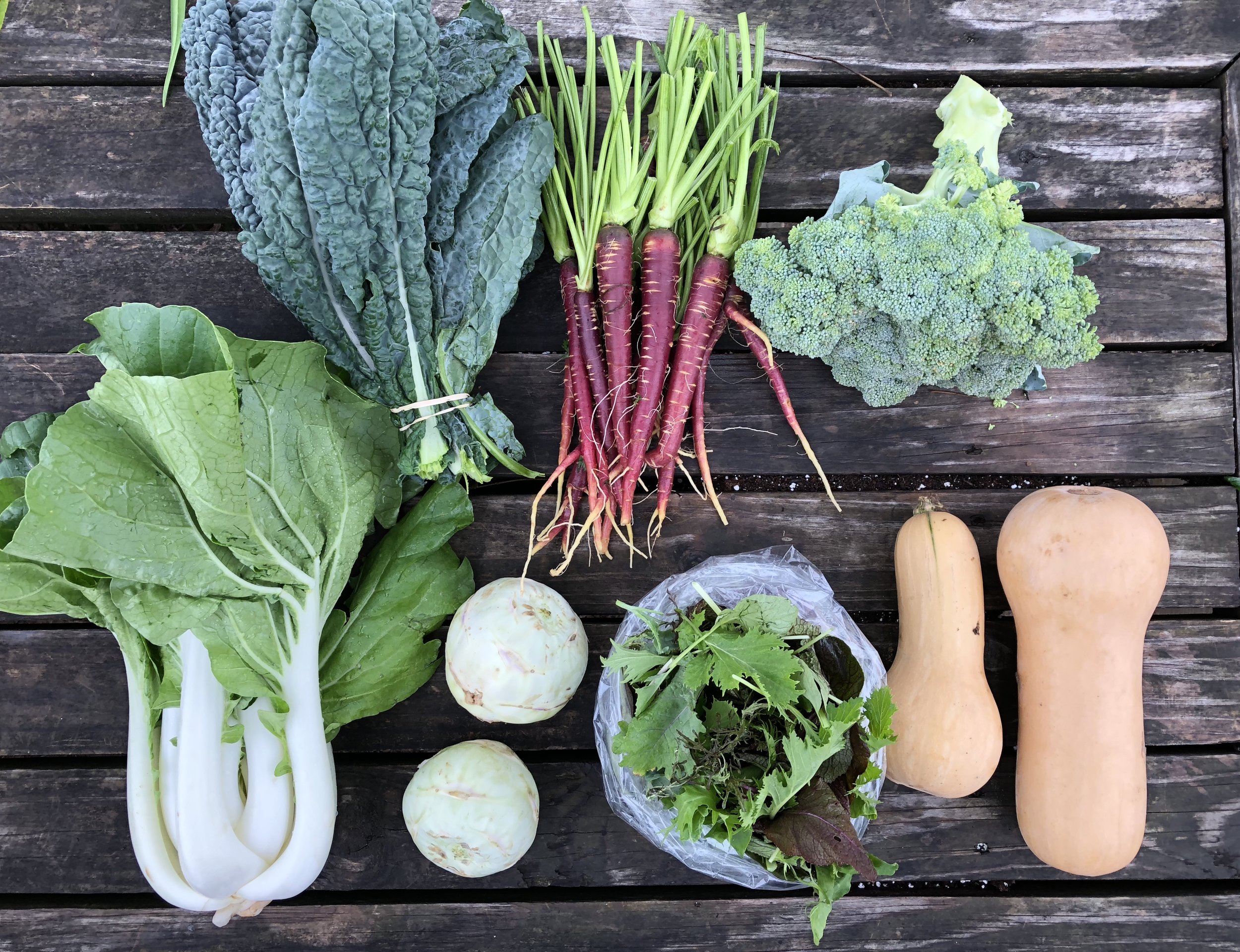 Two Dog Farms 2018 Fall CSA Week 3