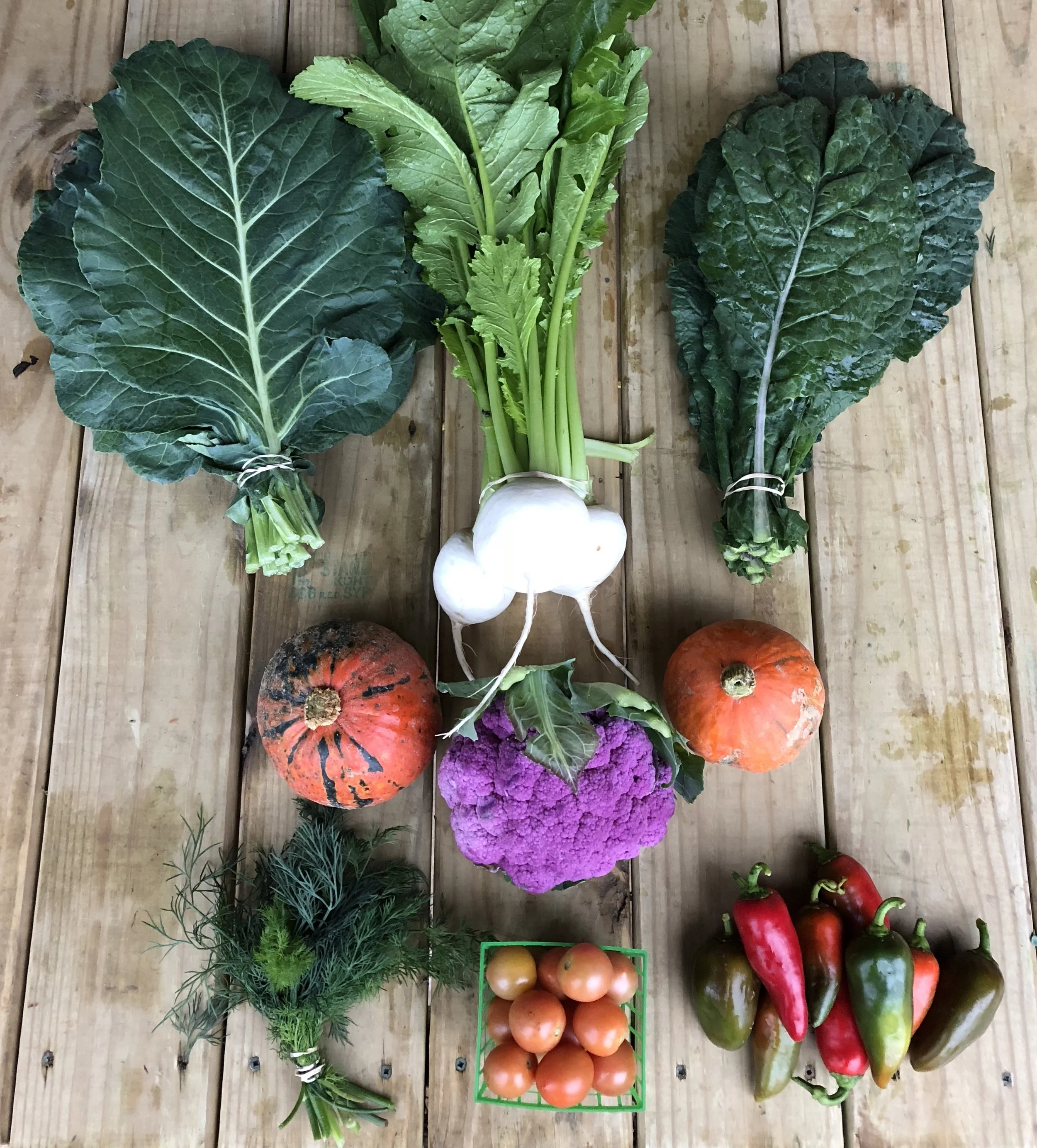 Top Row: Collards, Hakurei Turnips, and Kale Middle Row: Kabocha Squash, Cauliflower, and Kabocha Squash Bottom Row: Dill, Cherry Tomatoes, and Sweet Peppers