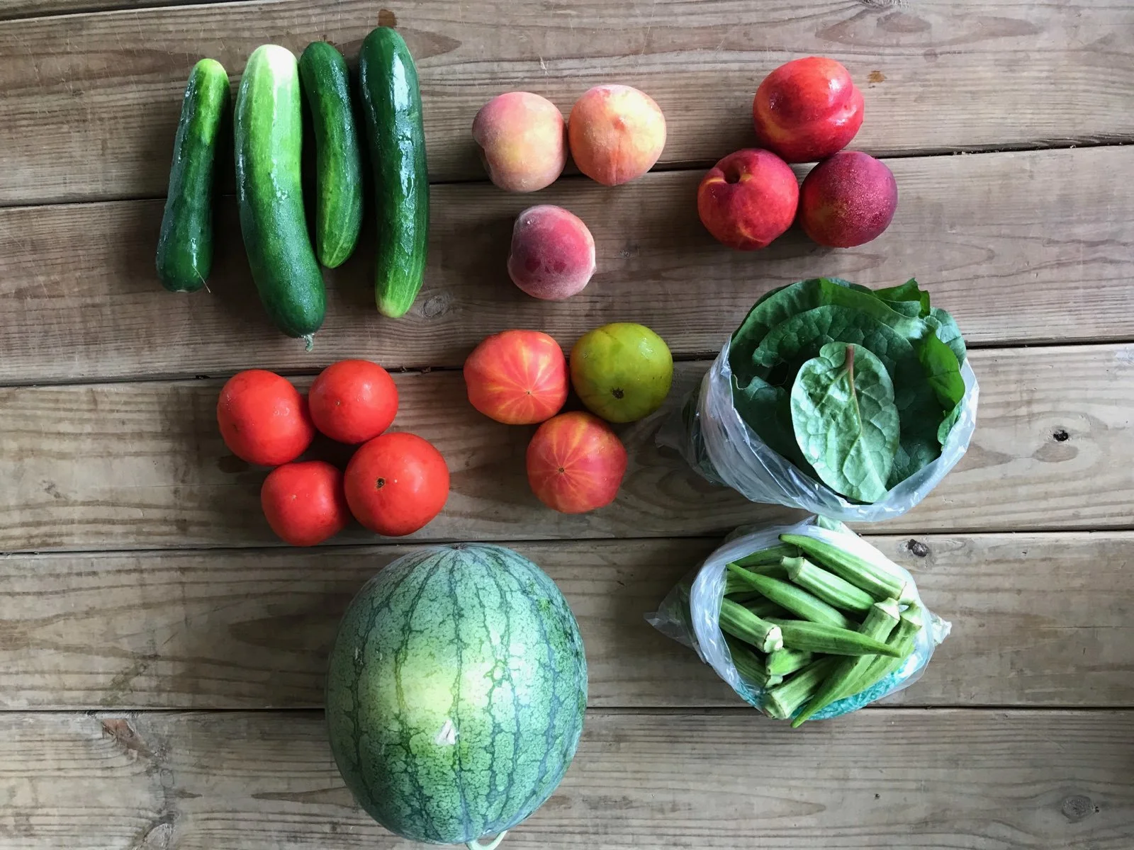 Two Dog Farms 2019 Spring/Summer CSA Week 12