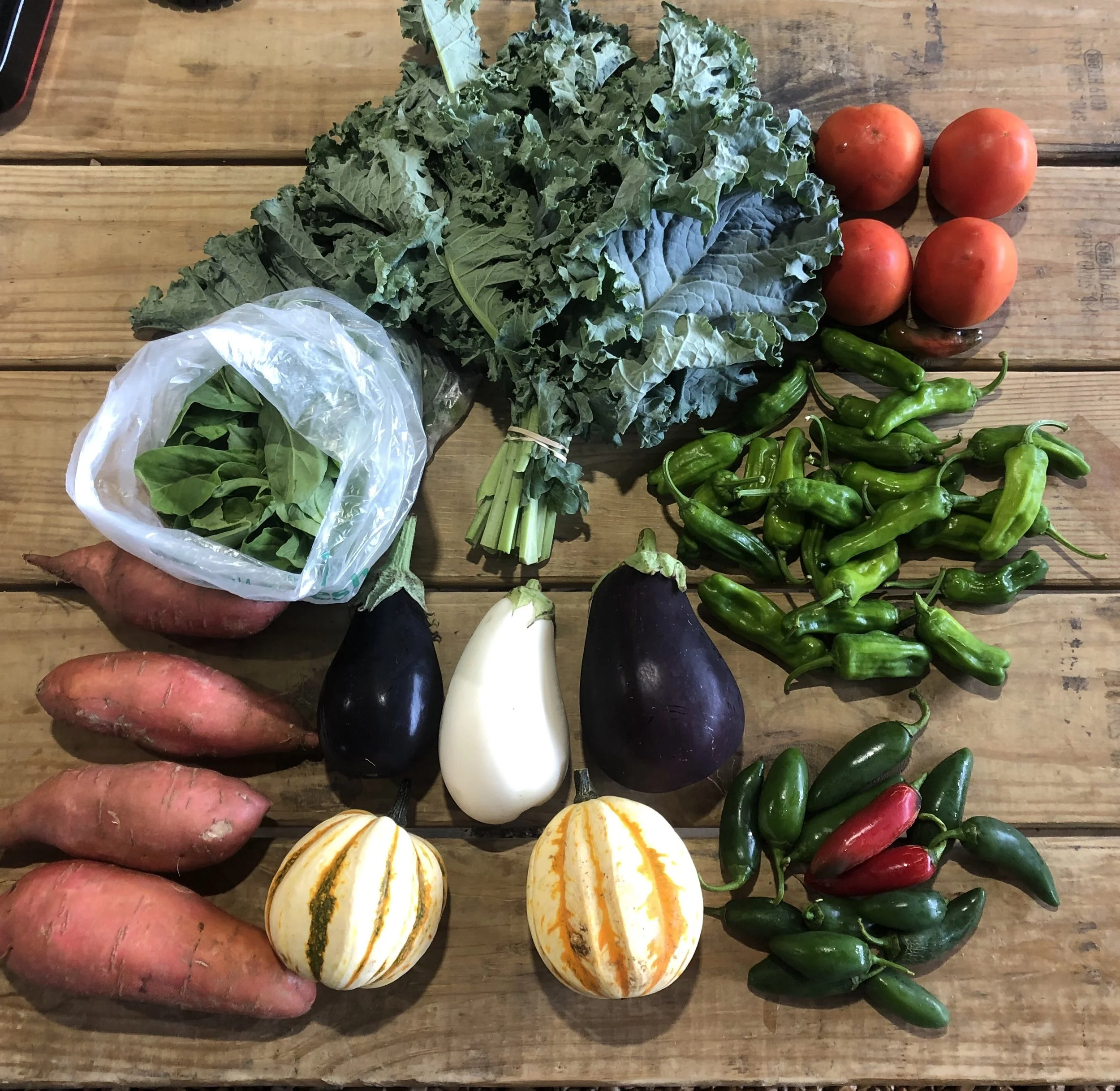 Two Dog Farms 2019 Fall CSA Week 1 