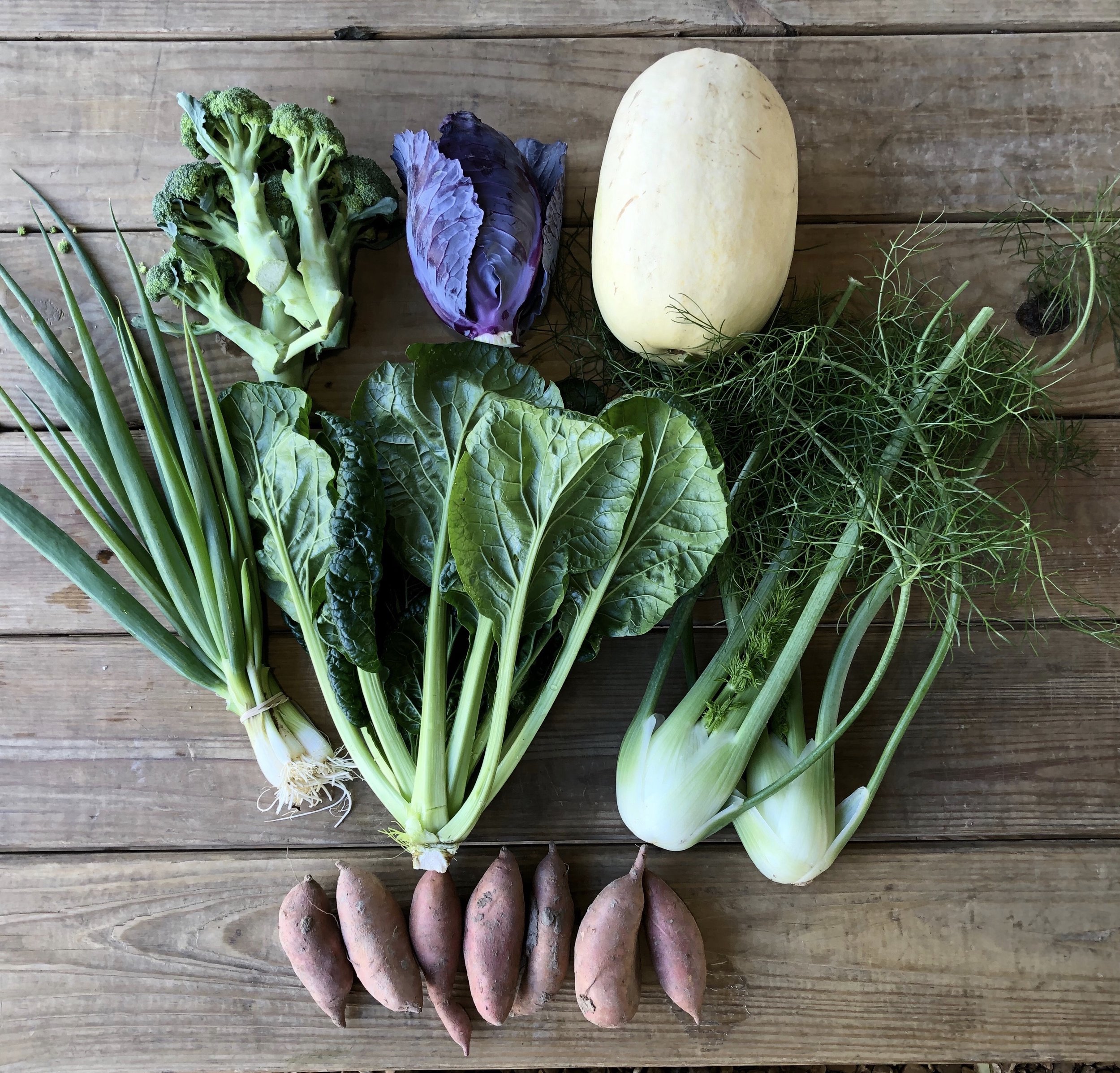 Two Dog Farms 2019 Fall CSA Week 5