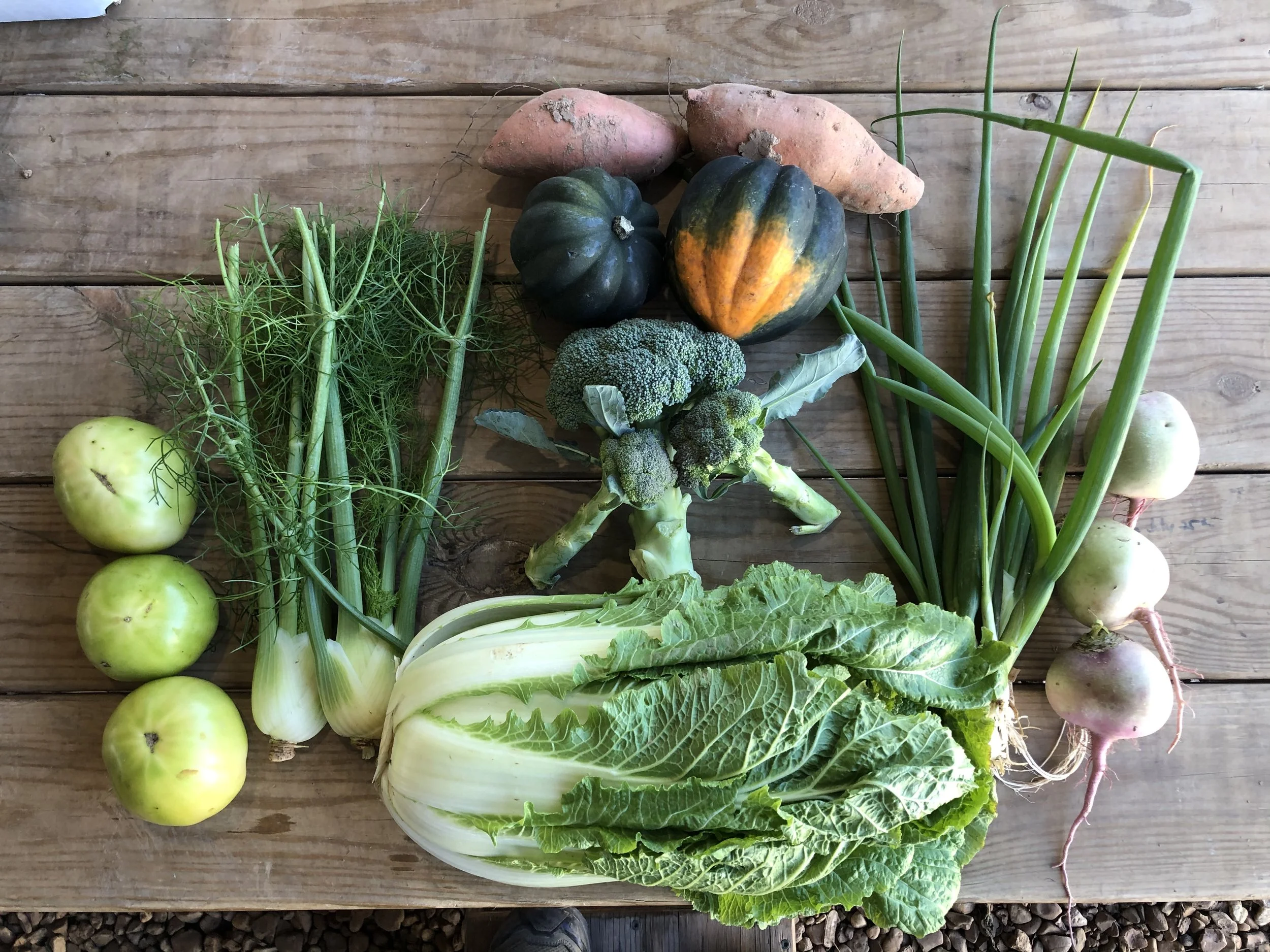 Two Dog Farms 2019 Fall CSA Week 6