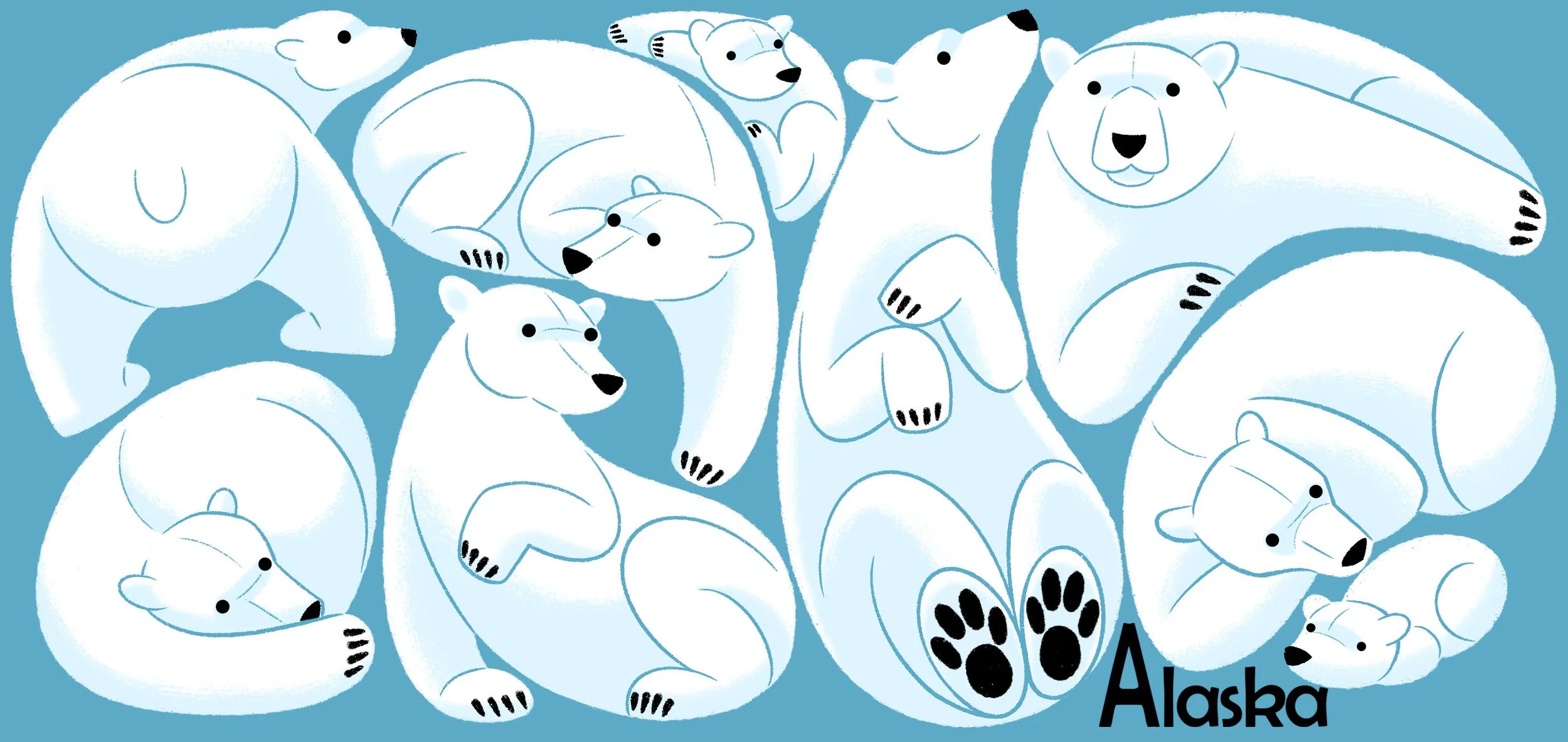 Polar Bear Pattern