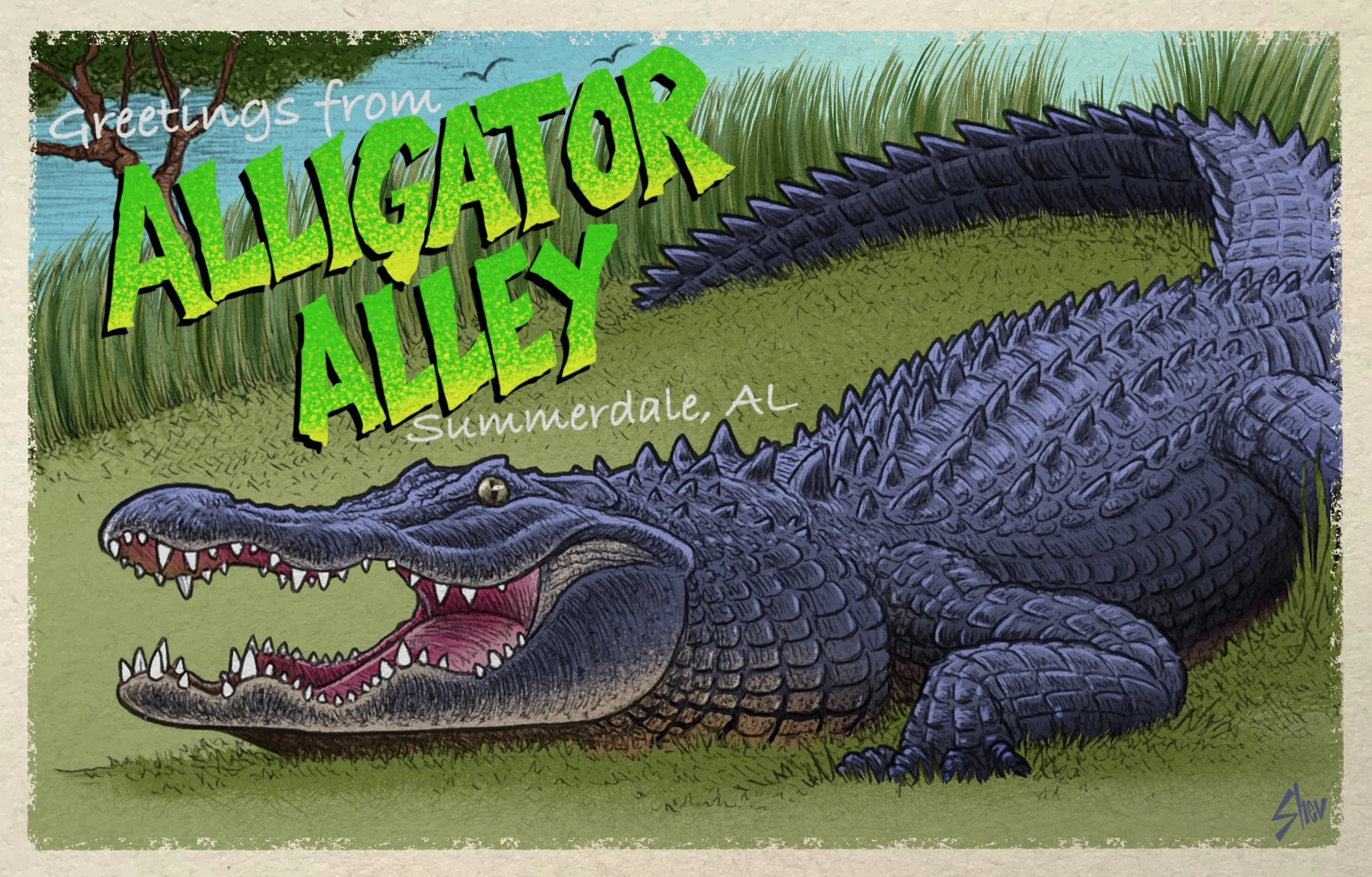 AlligatorAlley.jpg