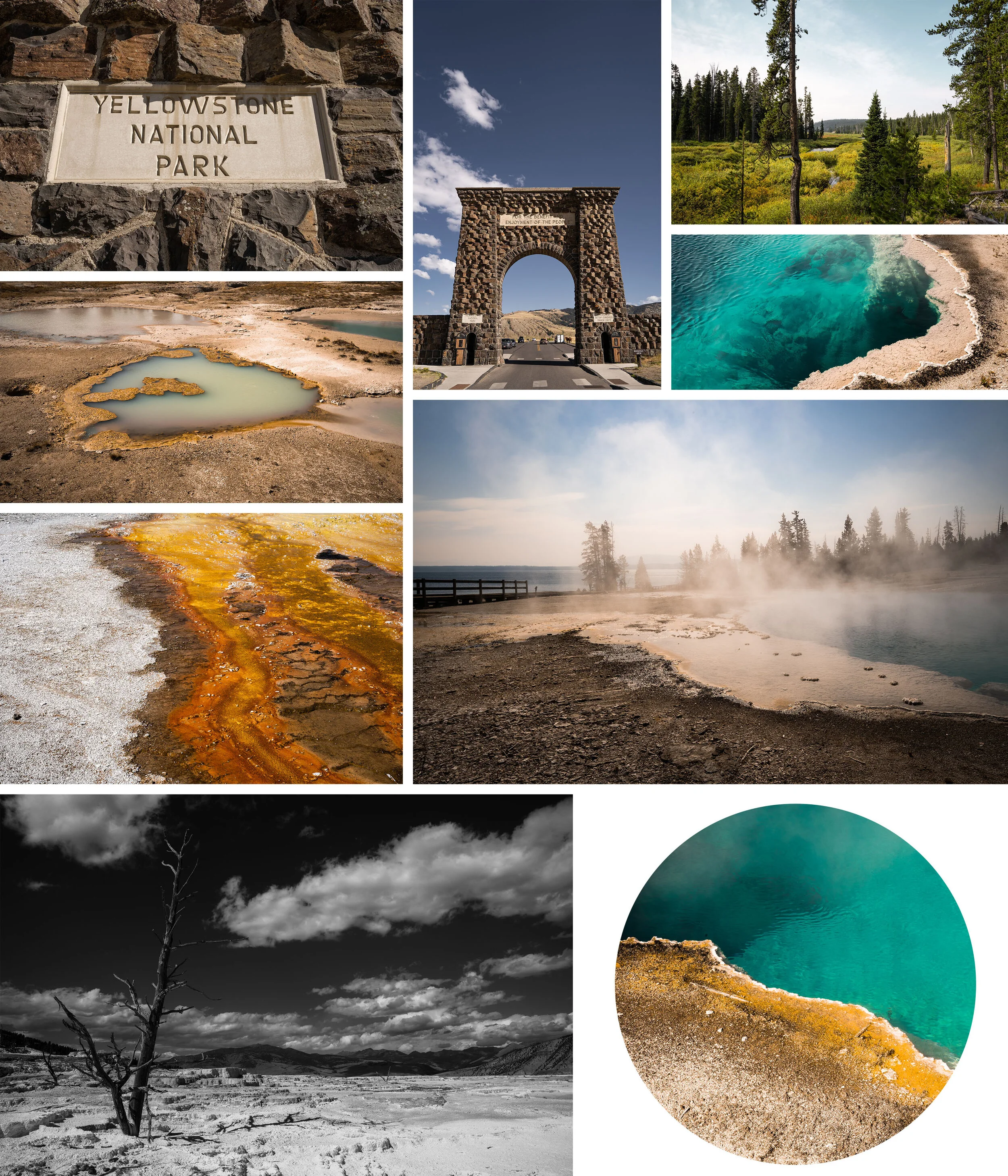 Yellowstone