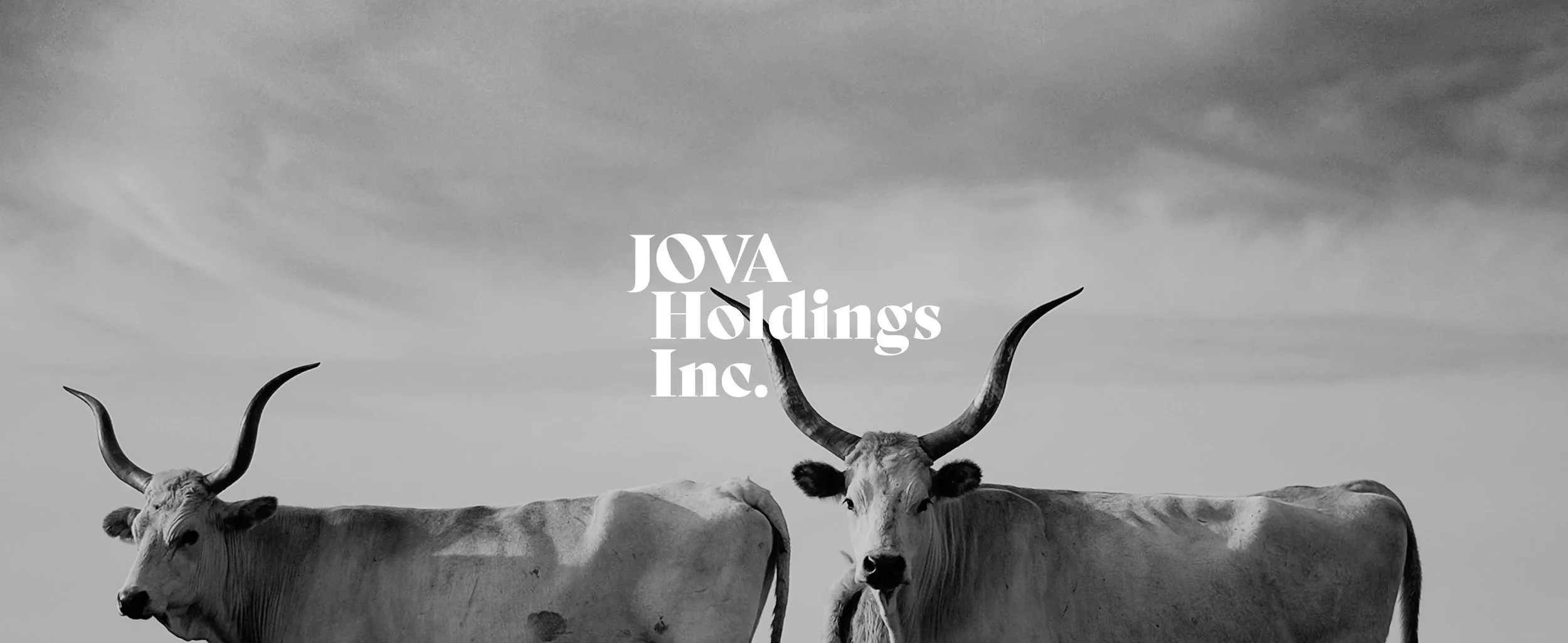 JOVA Holdings Inc_.jpg