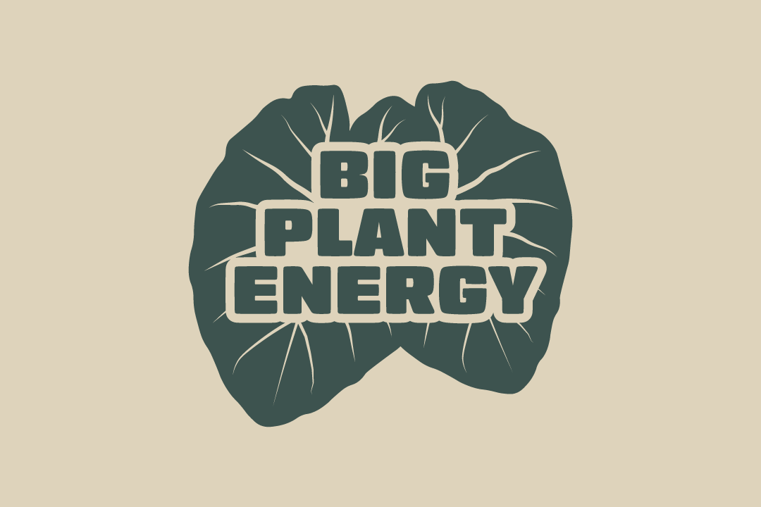 Full Color Logo.png