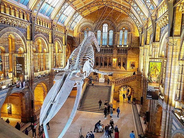 Had a lovely time visiting some friends and then a few days in London. When I was little the natural history museum was like my Hogwarts, I just loved the place. Even now there is still something about it that I find inexplicably magical, even all th