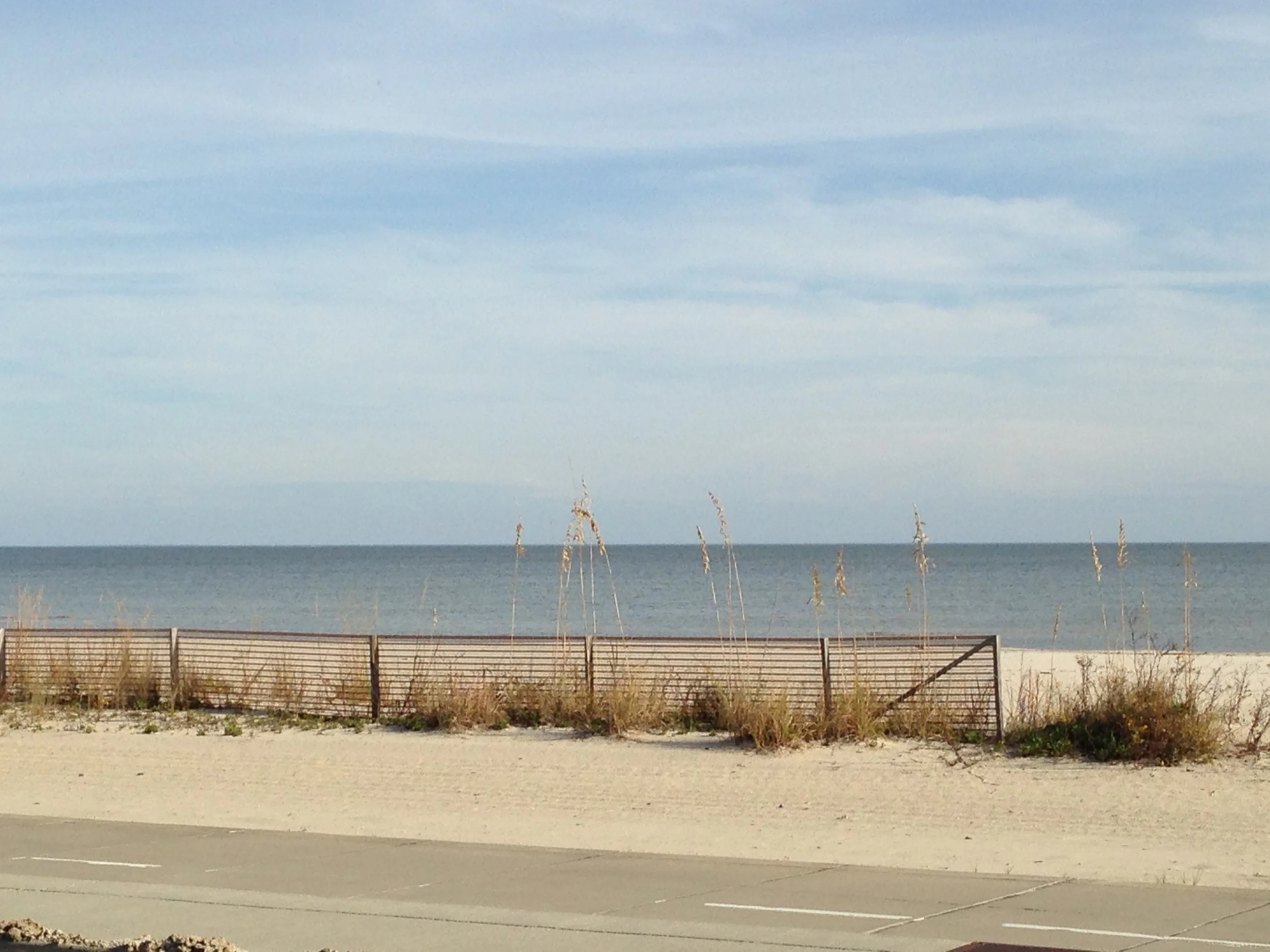 Beach with net.jpg
