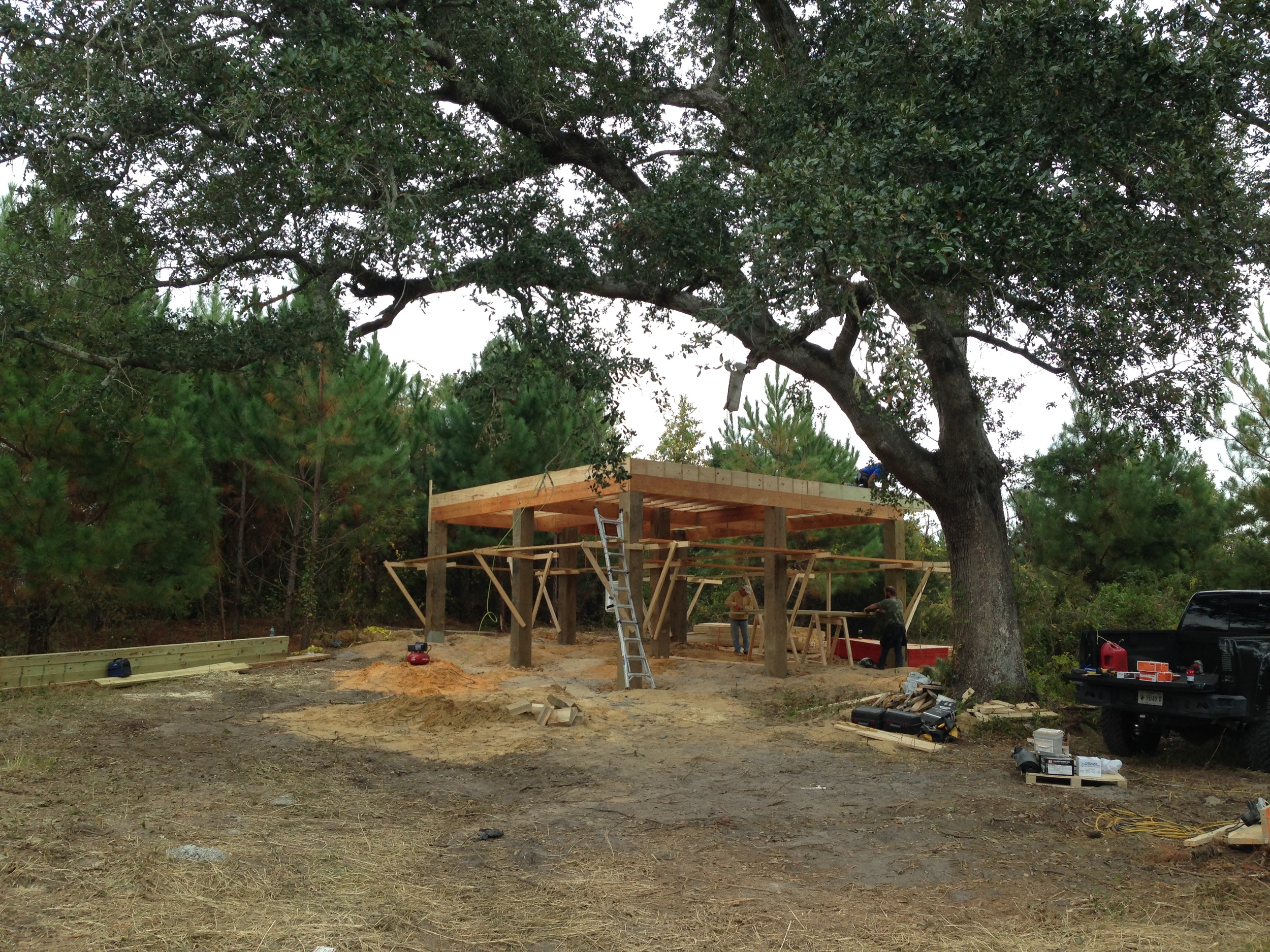 Foundation in the trees