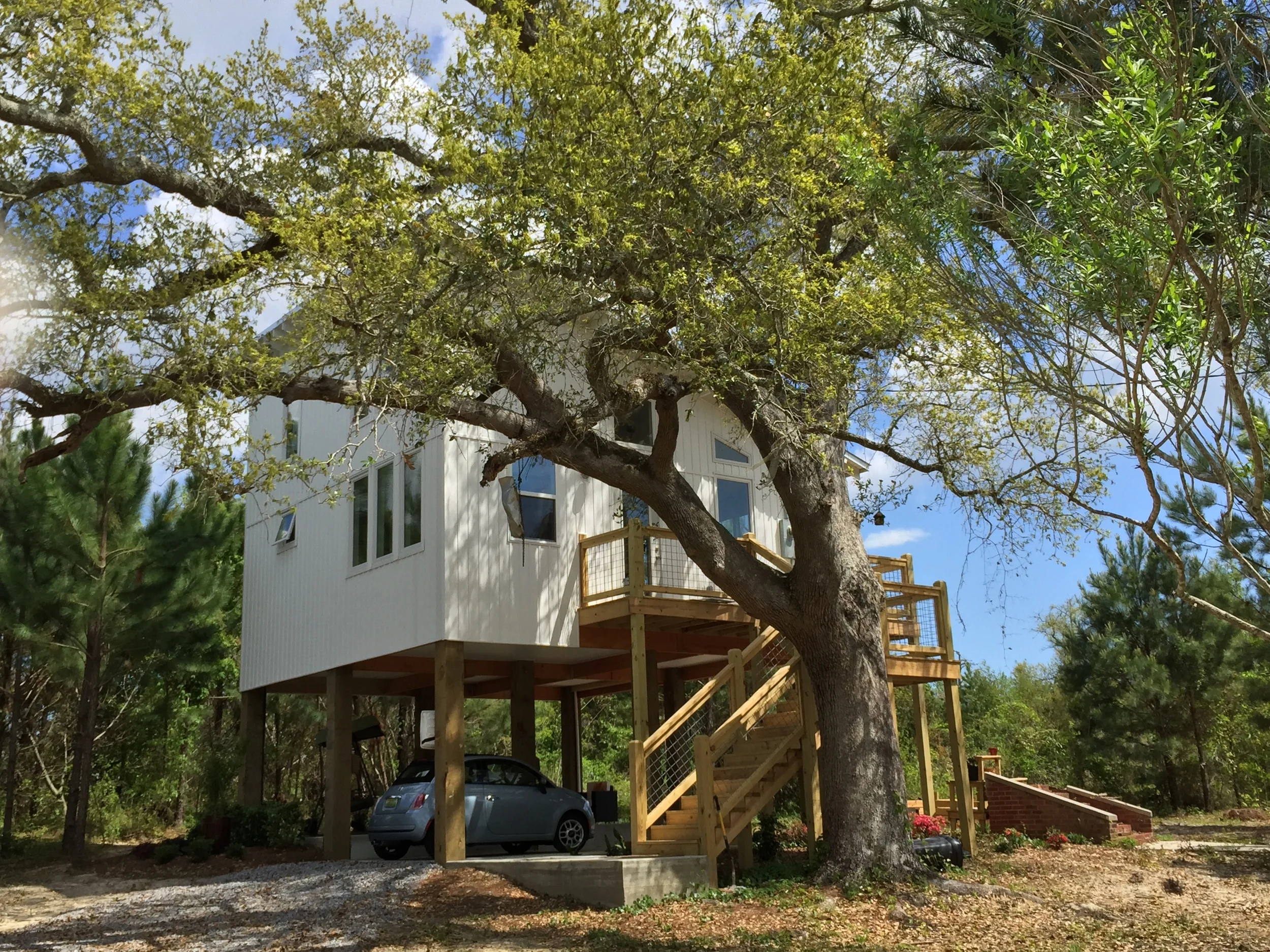 House from driveway.jpg
