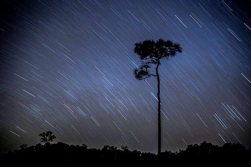 ENP-Stars-01.jpg