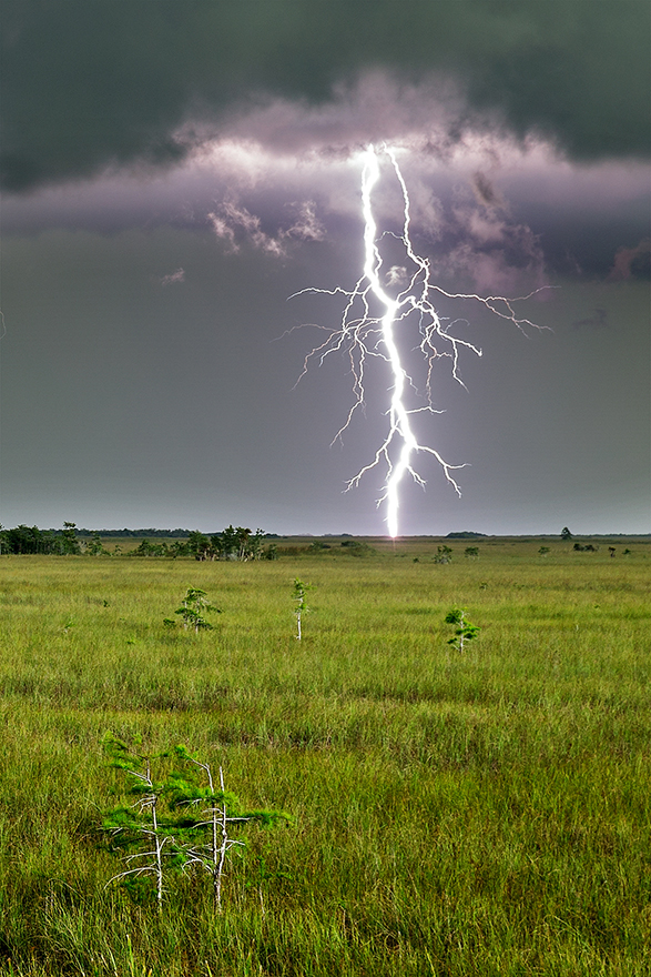 Everglades-Lightning-01.jpg