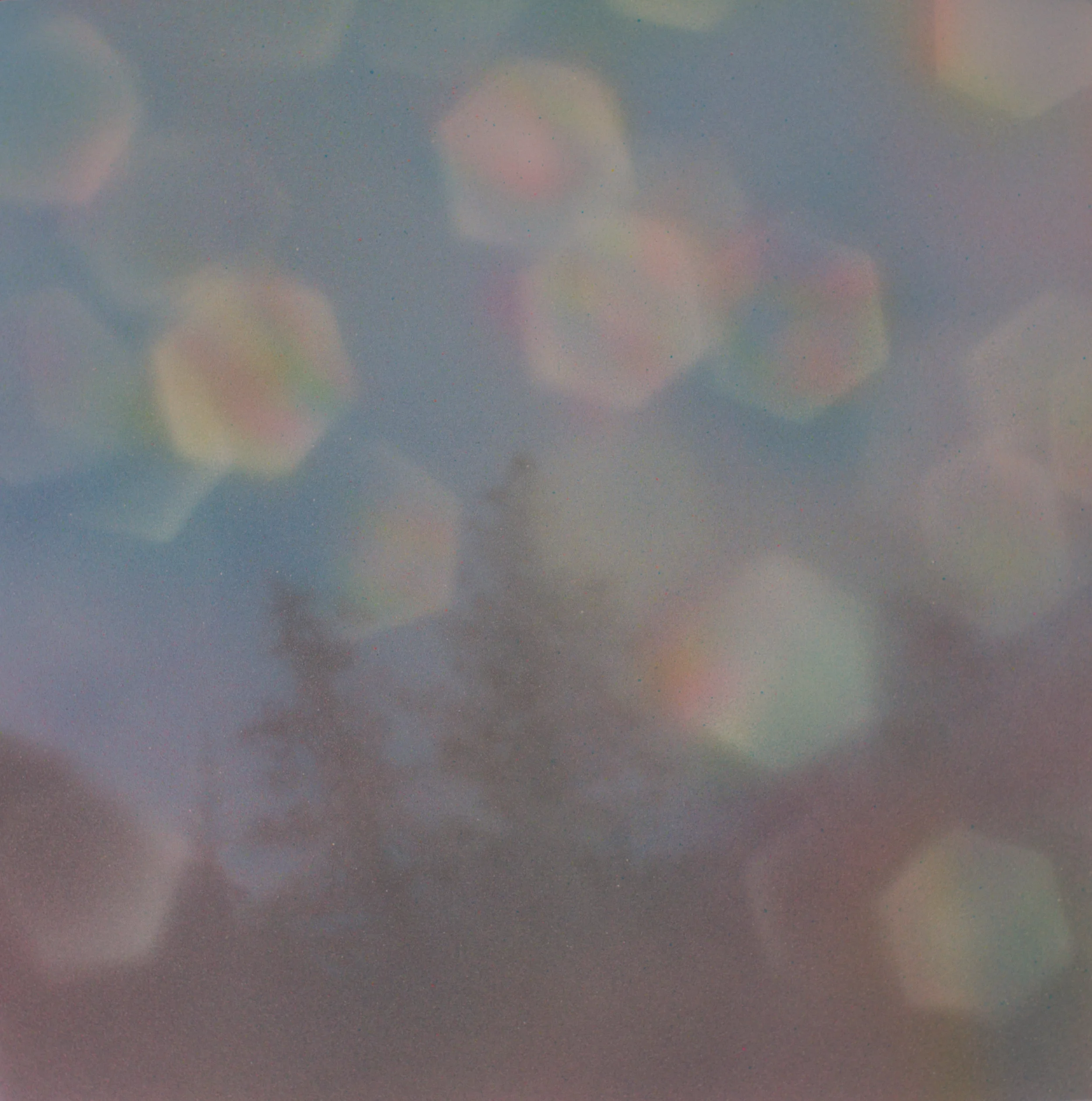 Mist Trail
