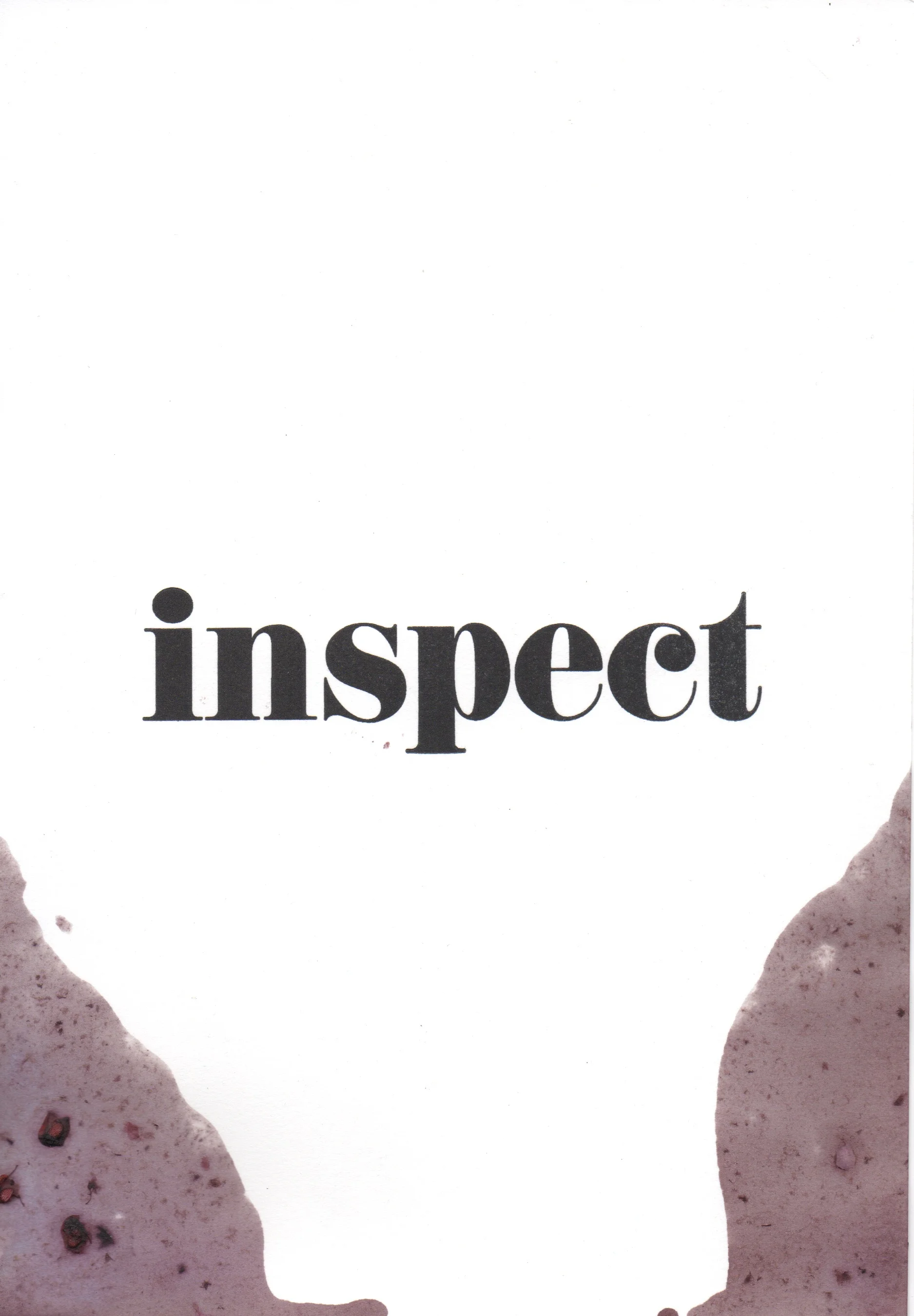 Inspect_02.jpeg
