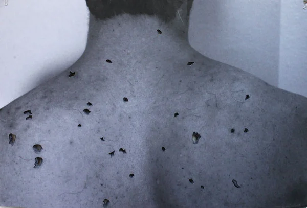 back-web.jpg